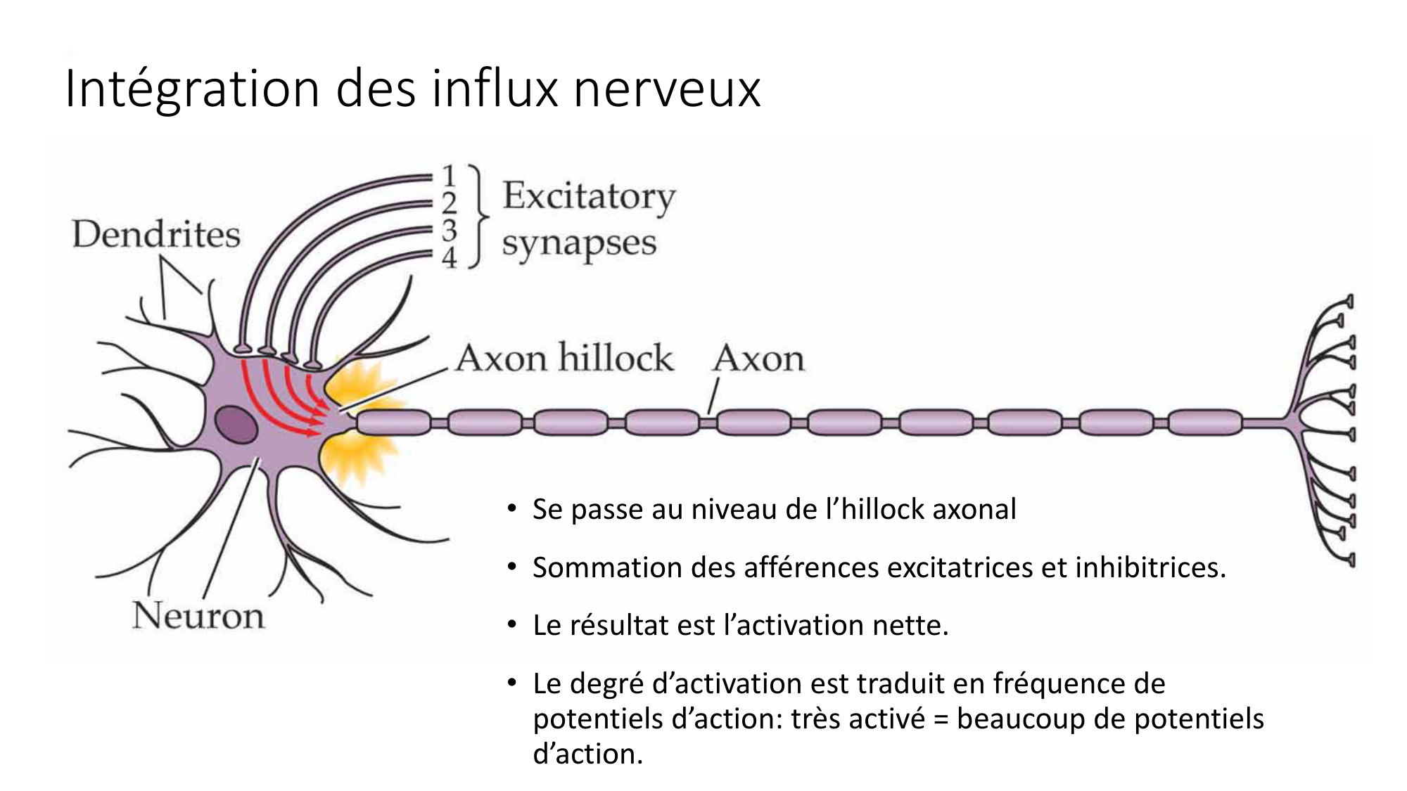 Jabaudon Cours1 14Nov2016 page 27