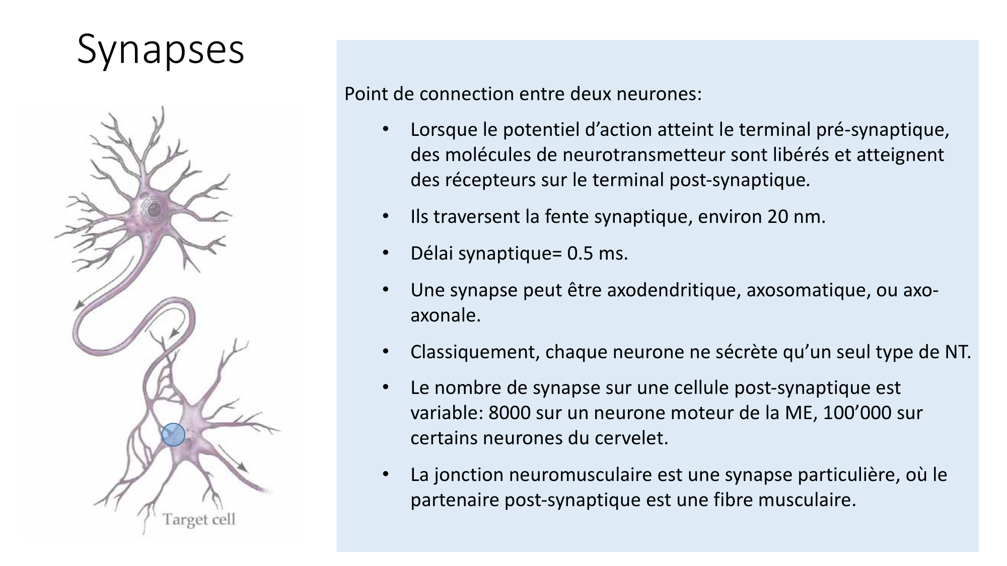 Jabaudon Cours1 14Nov2016 page 29