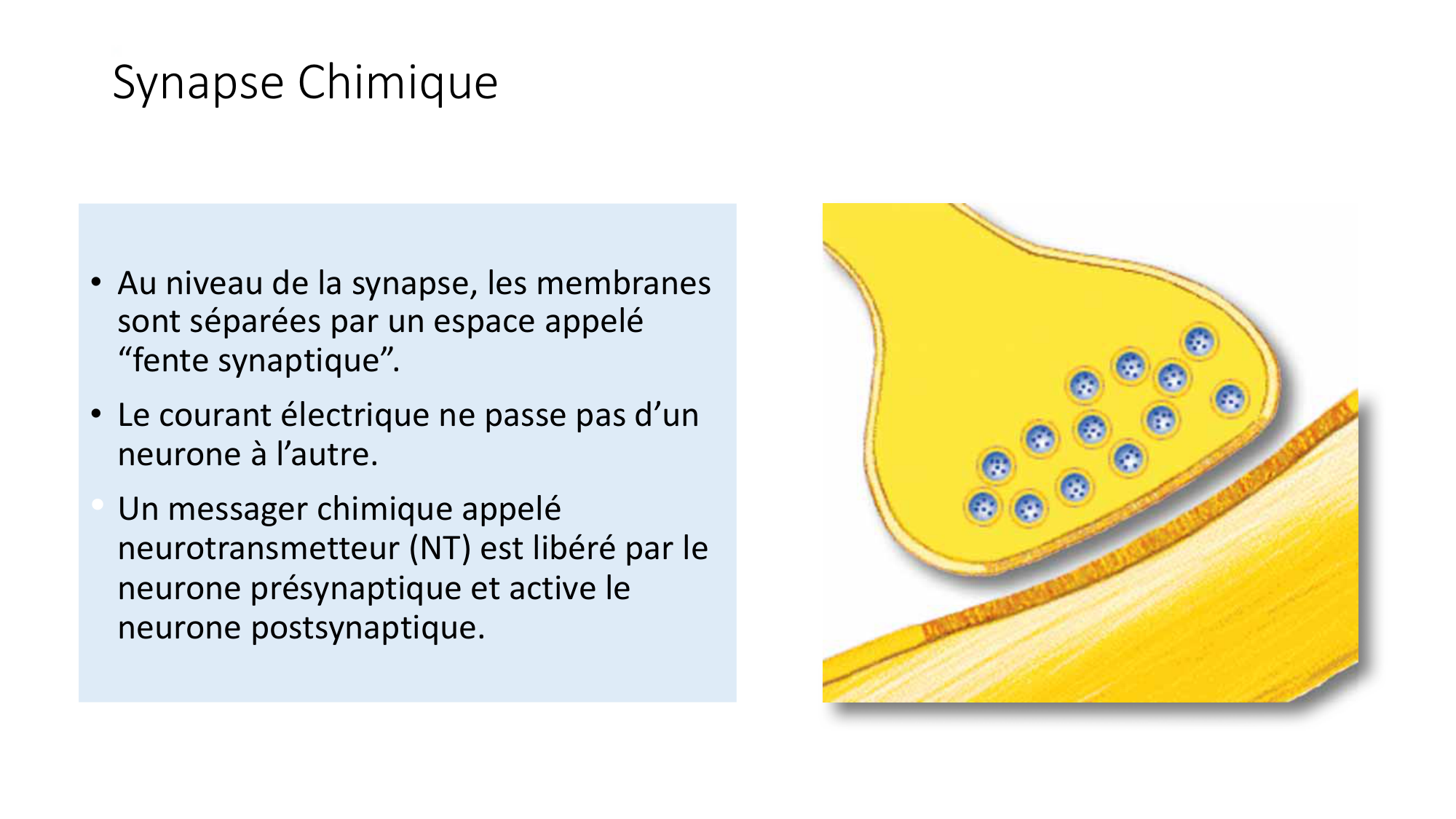 Jabaudon Cours1 14Nov2016 page 30