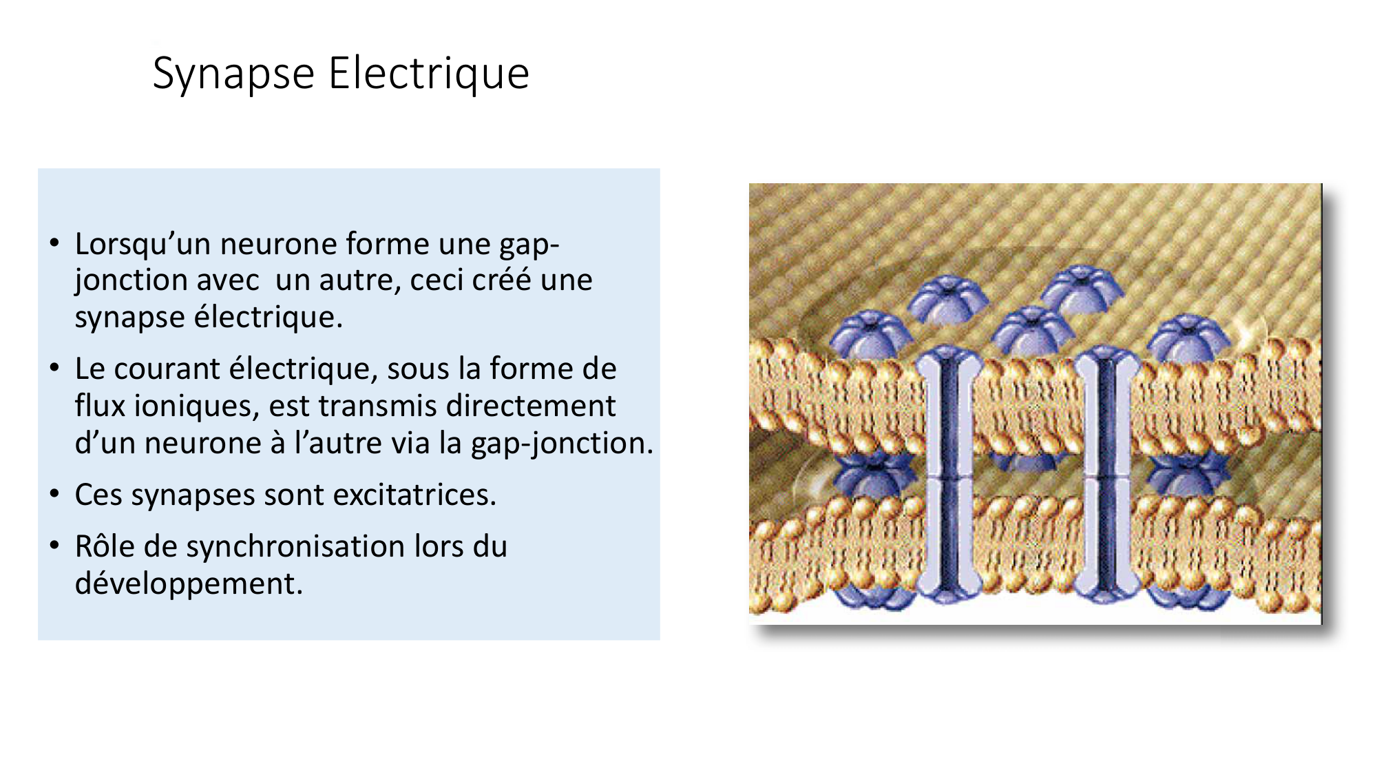 Jabaudon Cours1 14Nov2016 page 31