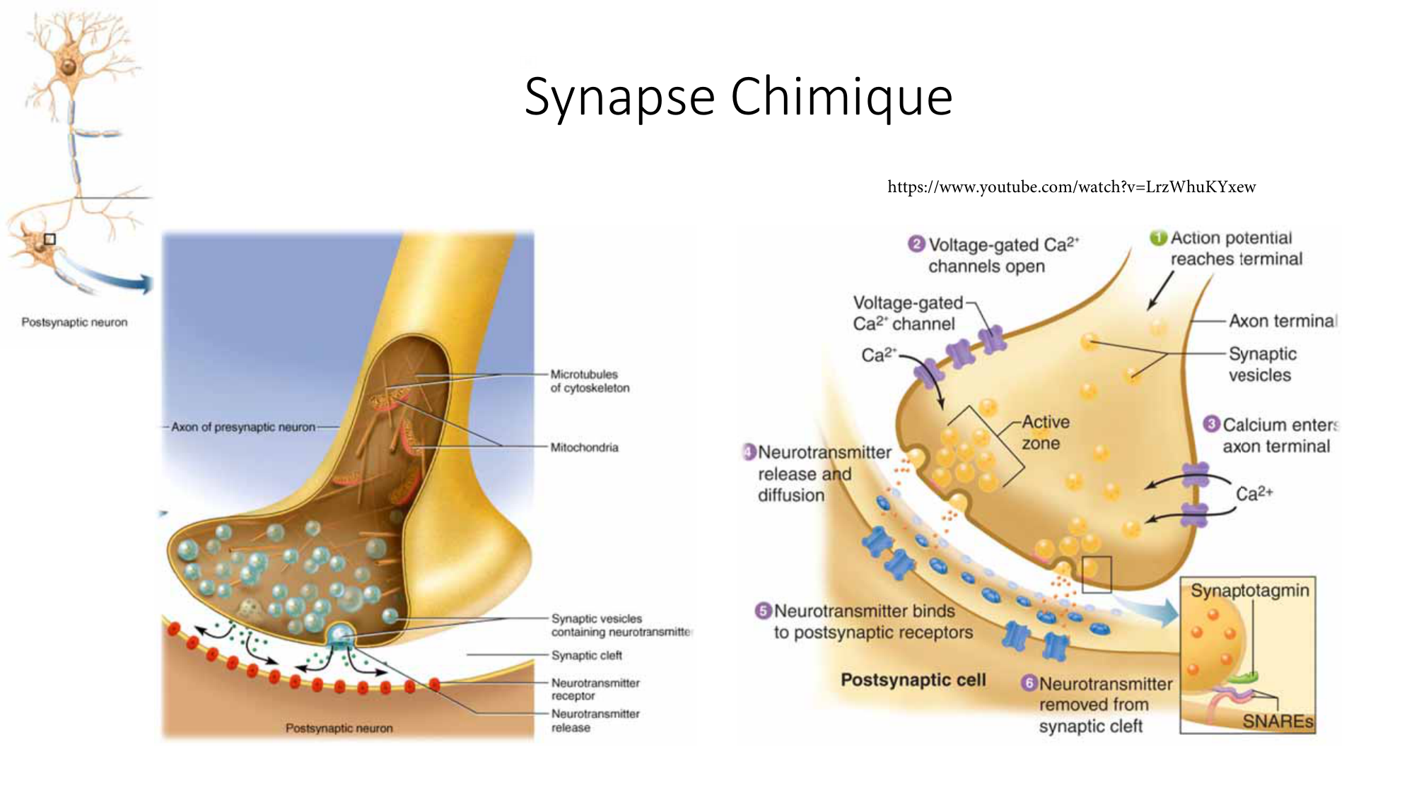 Jabaudon Cours1 14Nov2016 page 32
