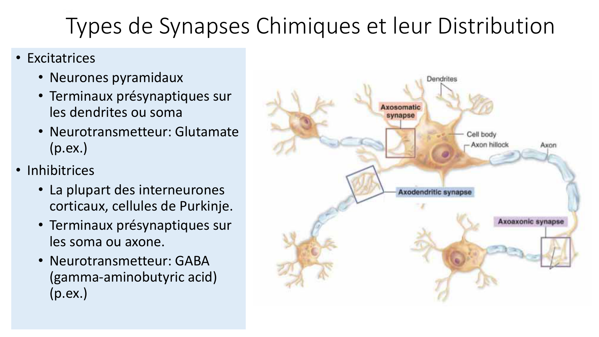 Jabaudon Cours1 14Nov2016 page 33