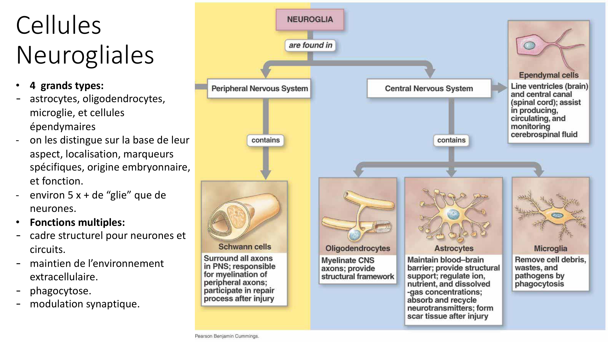 Jabaudon Cours1 14Nov2016 page 35