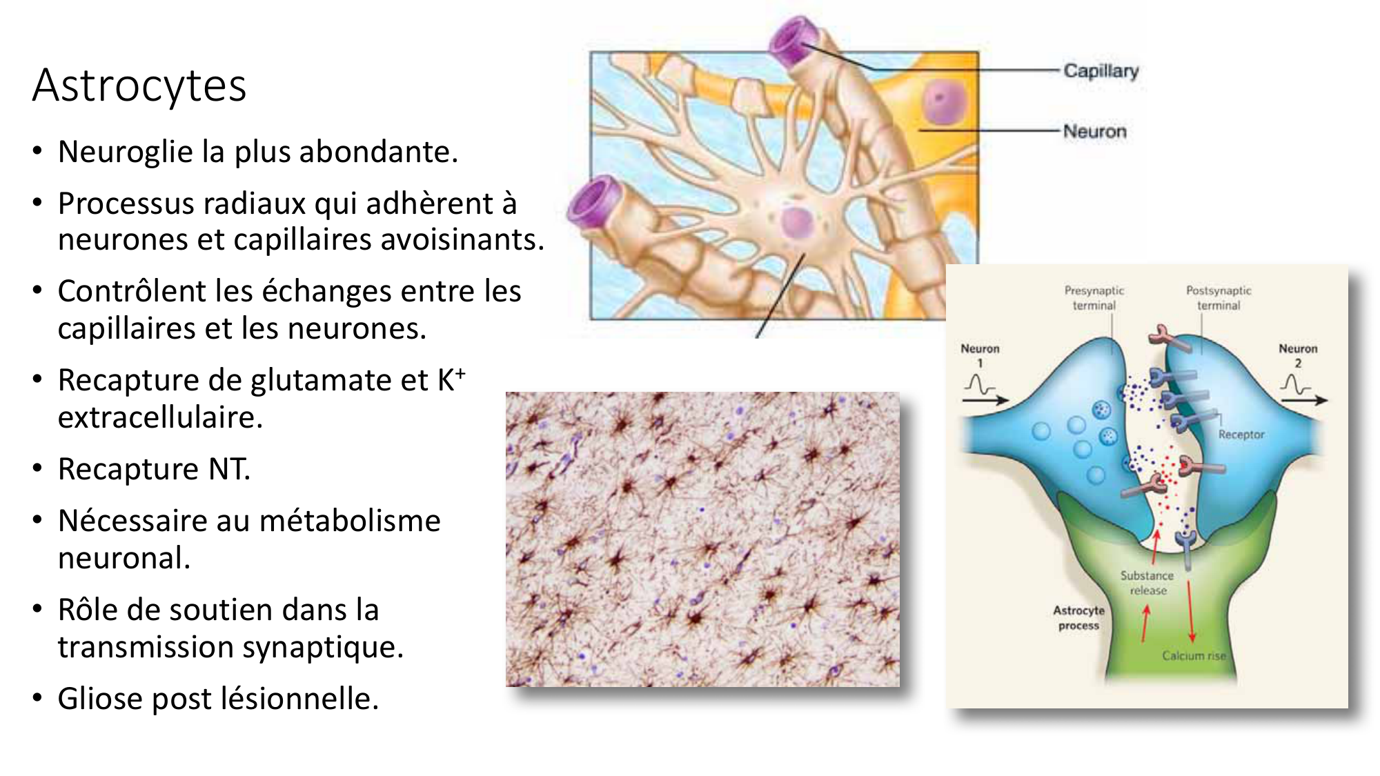 Jabaudon Cours1 14Nov2016 page 36