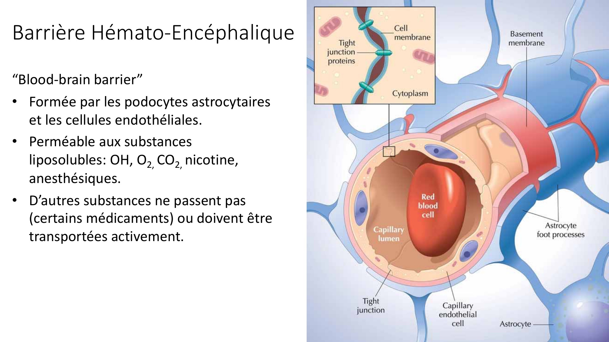Jabaudon Cours1 14Nov2016 page 37