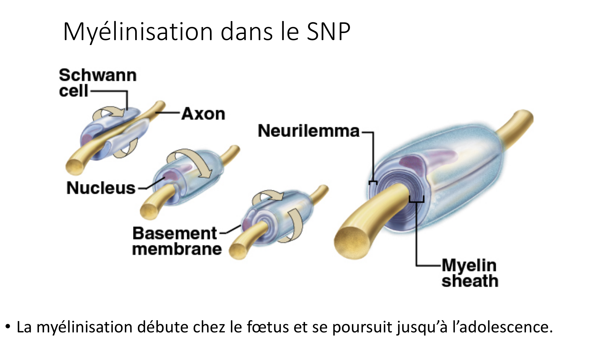 Jabaudon Cours1 14Nov2016 page 40