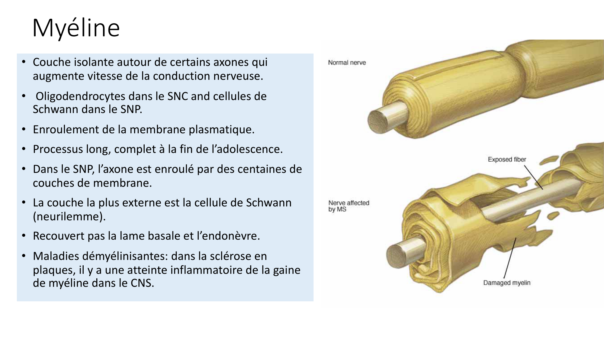 Jabaudon Cours1 14Nov2016 page 41