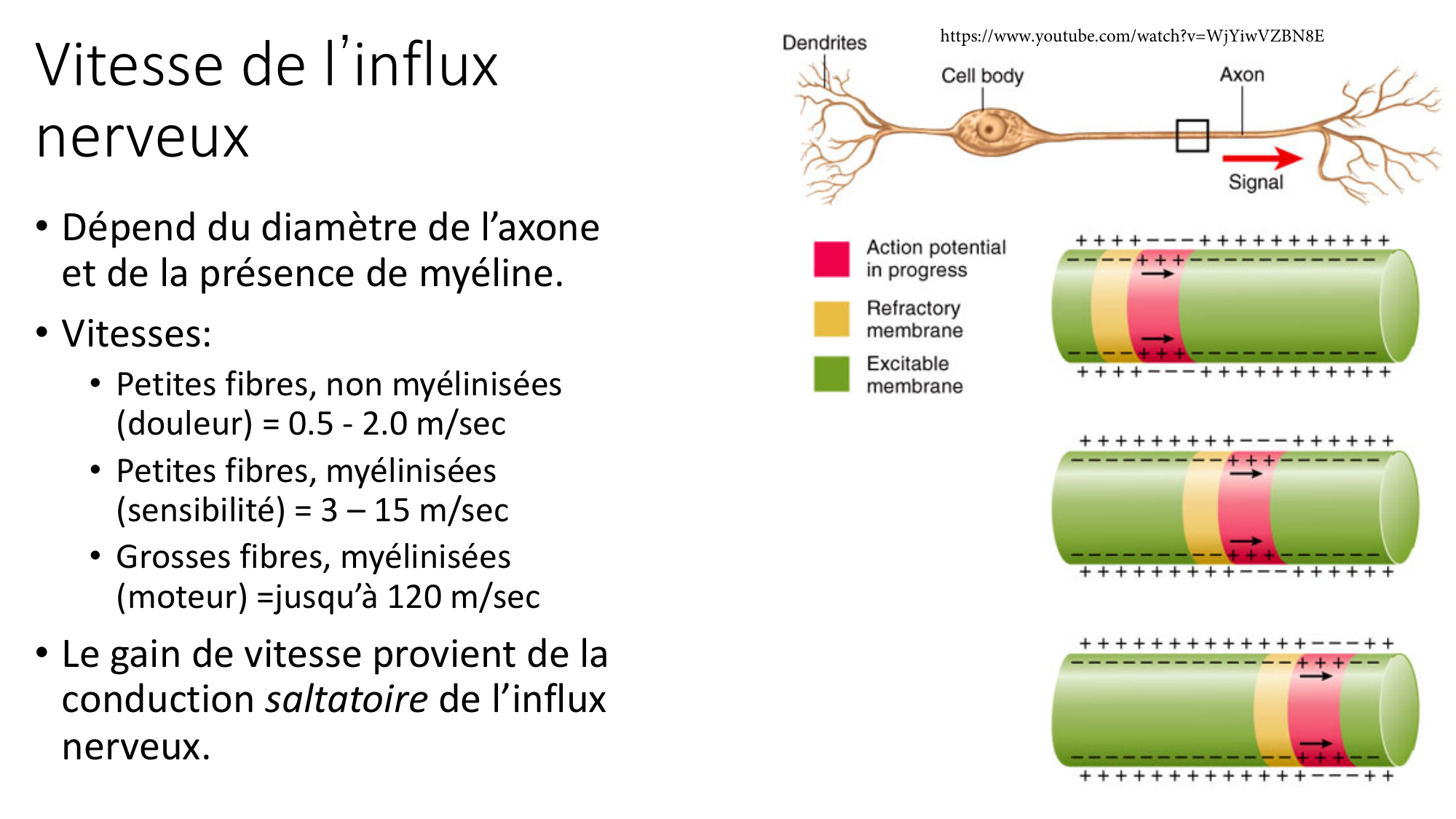 Jabaudon Cours1 14Nov2016 page 42