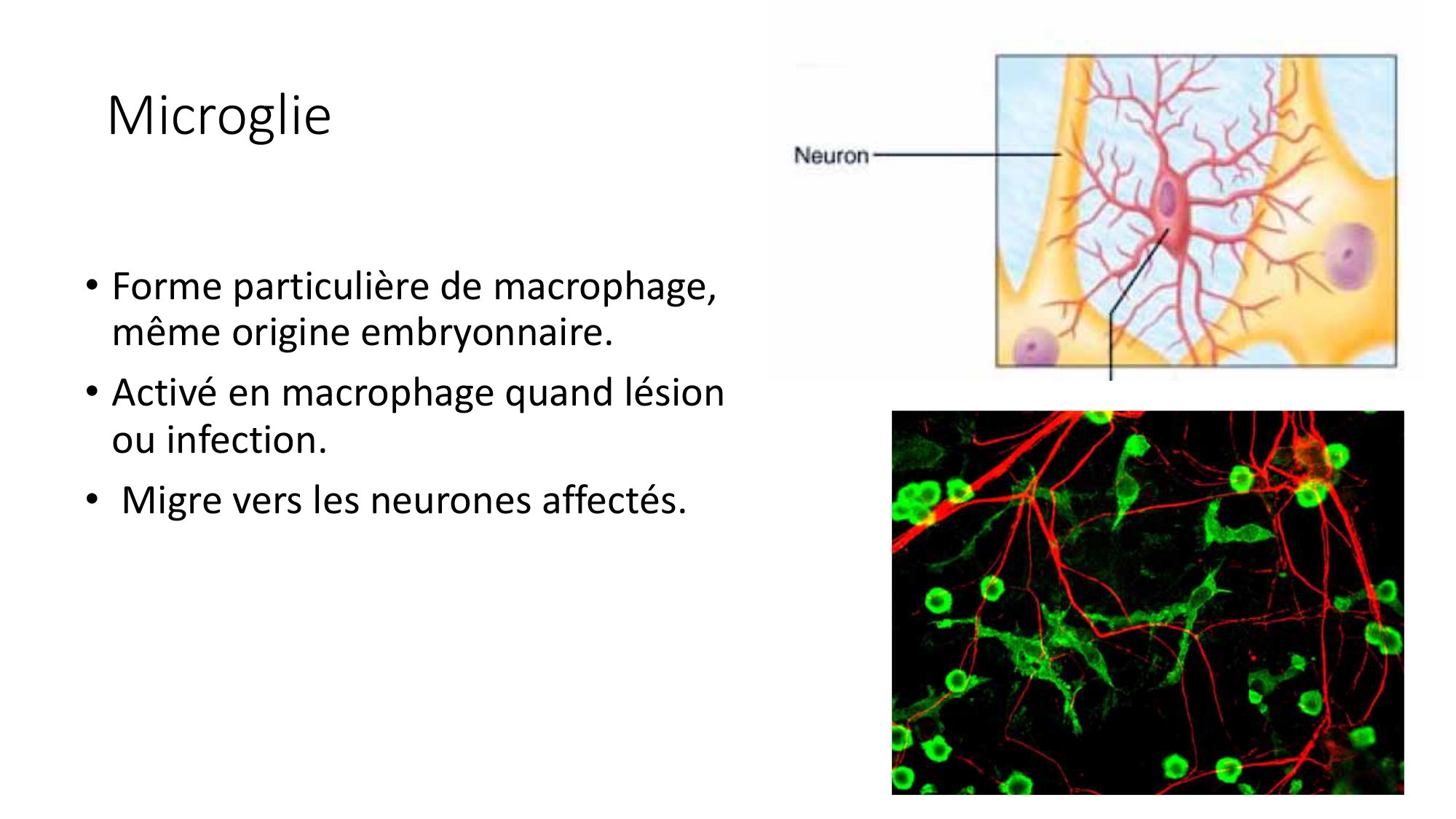 Jabaudon Cours1 14Nov2016 page 45