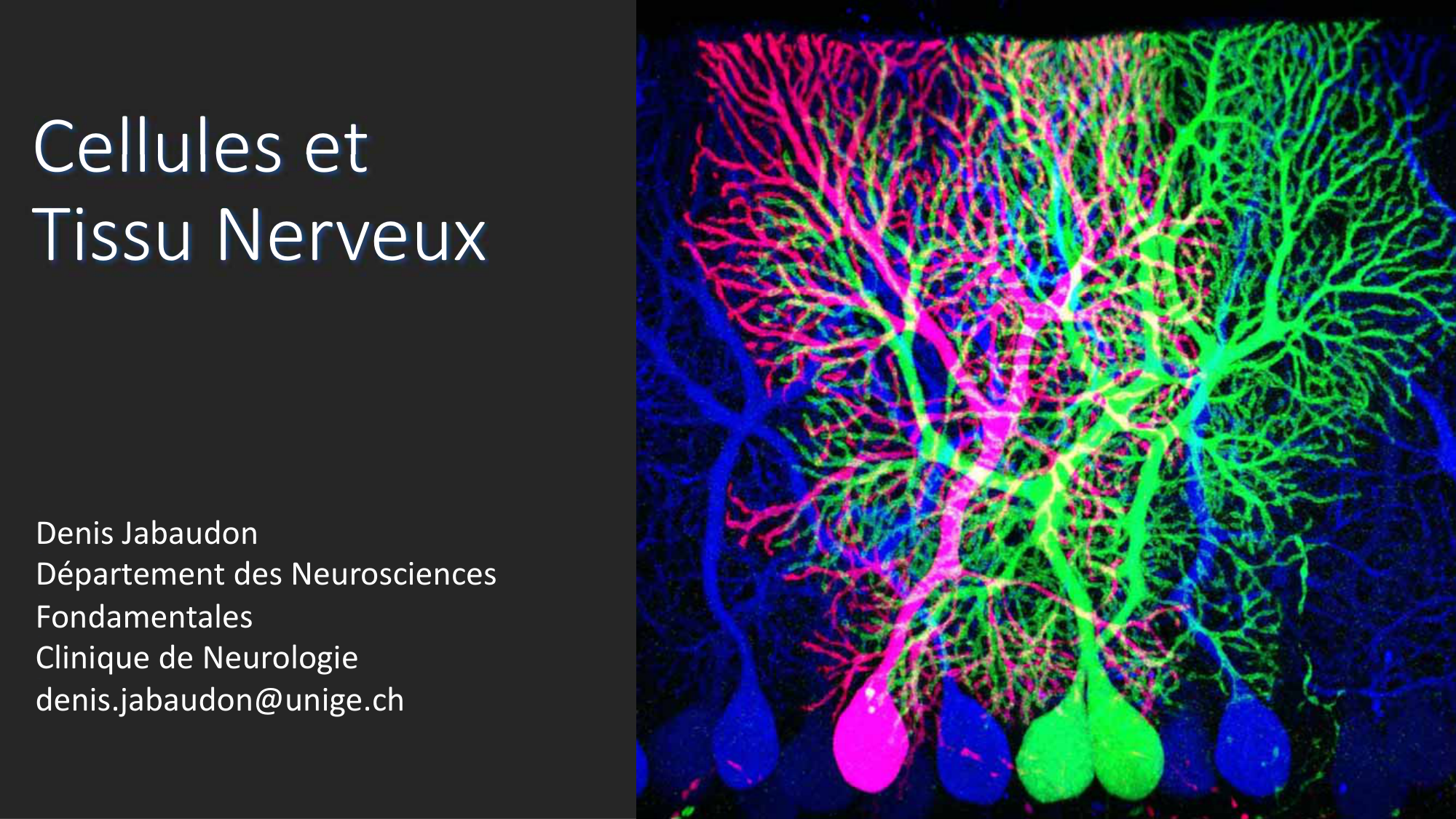 Jabaudon Cours2 17Nov2016 page 1