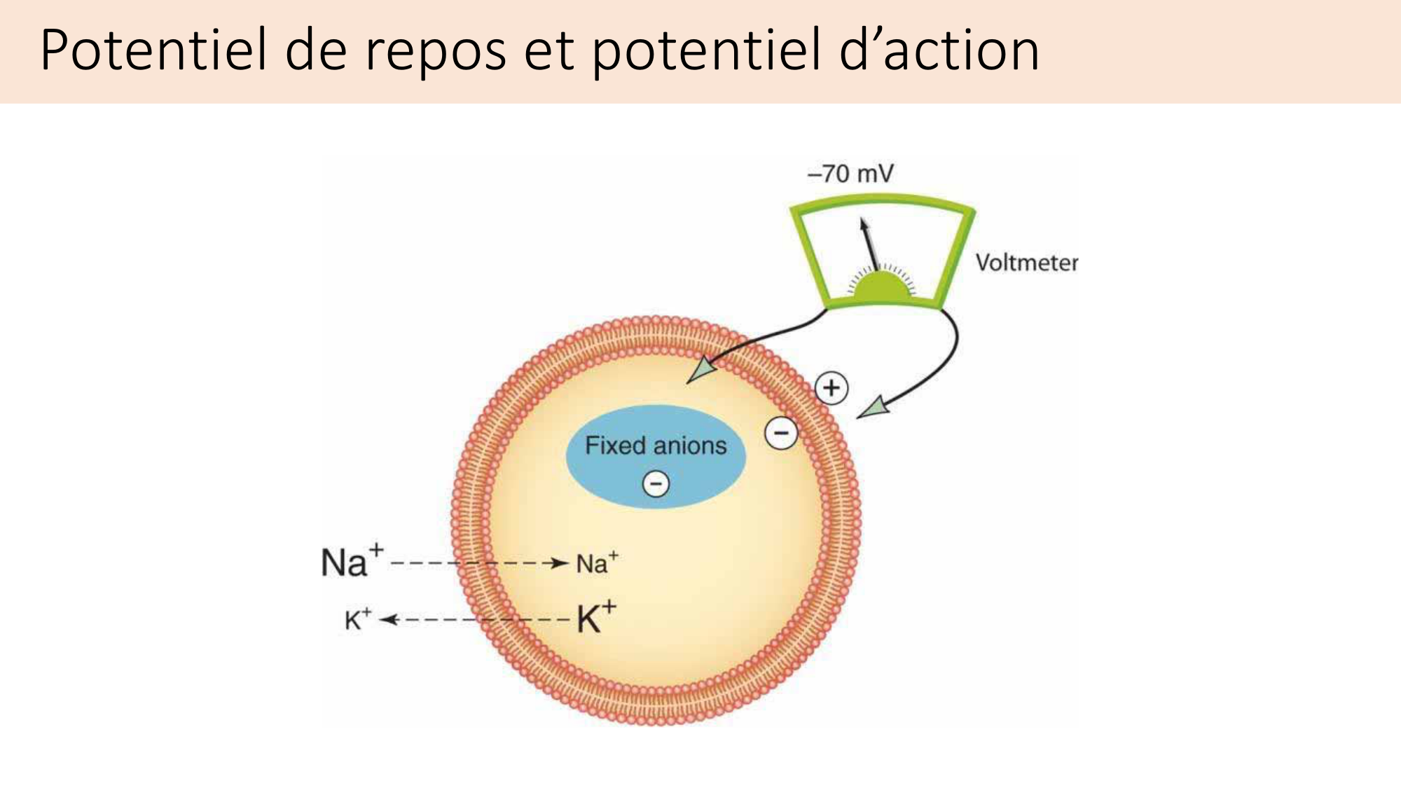 Jabaudon Cours2 17Nov2016 page 4