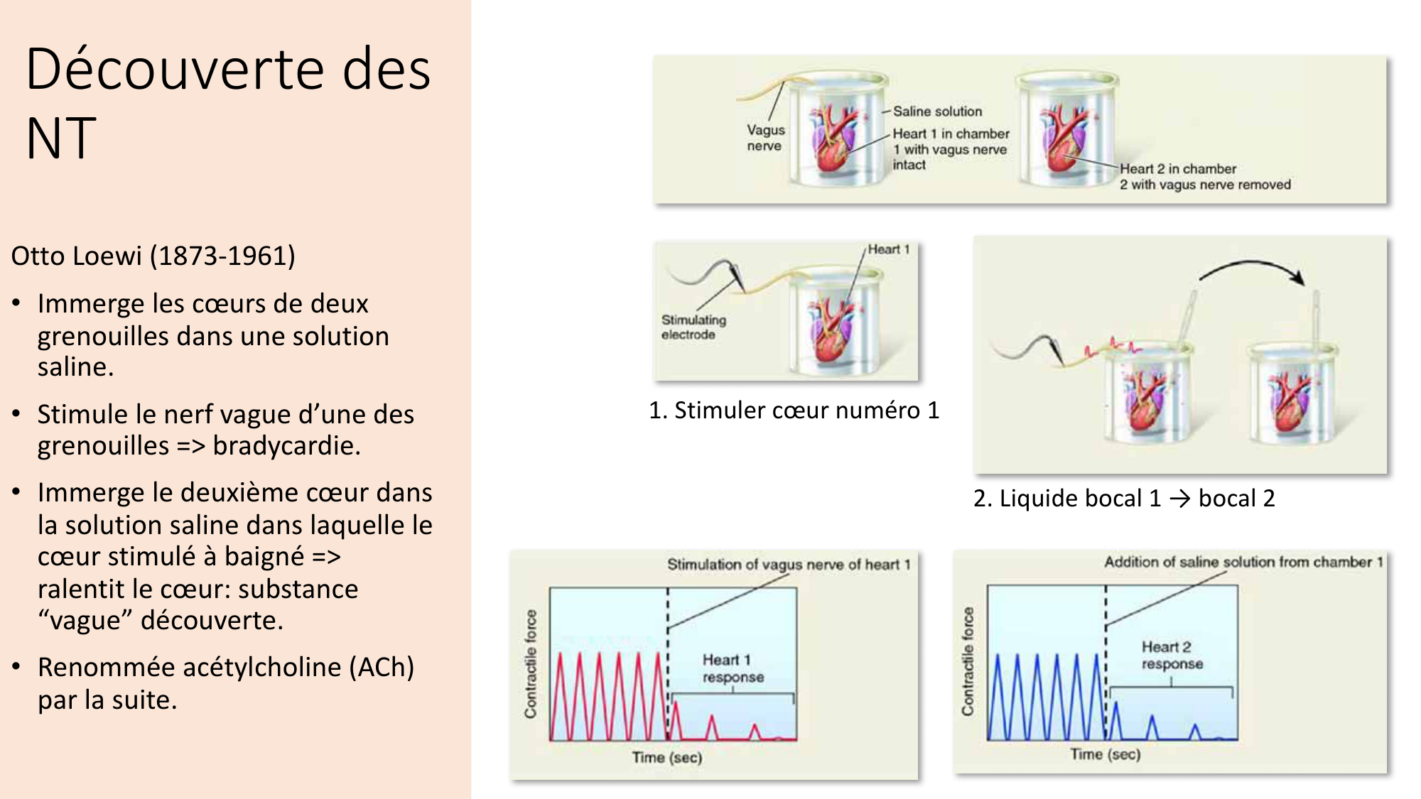 Jabaudon Cours2 17Nov2016 page 6