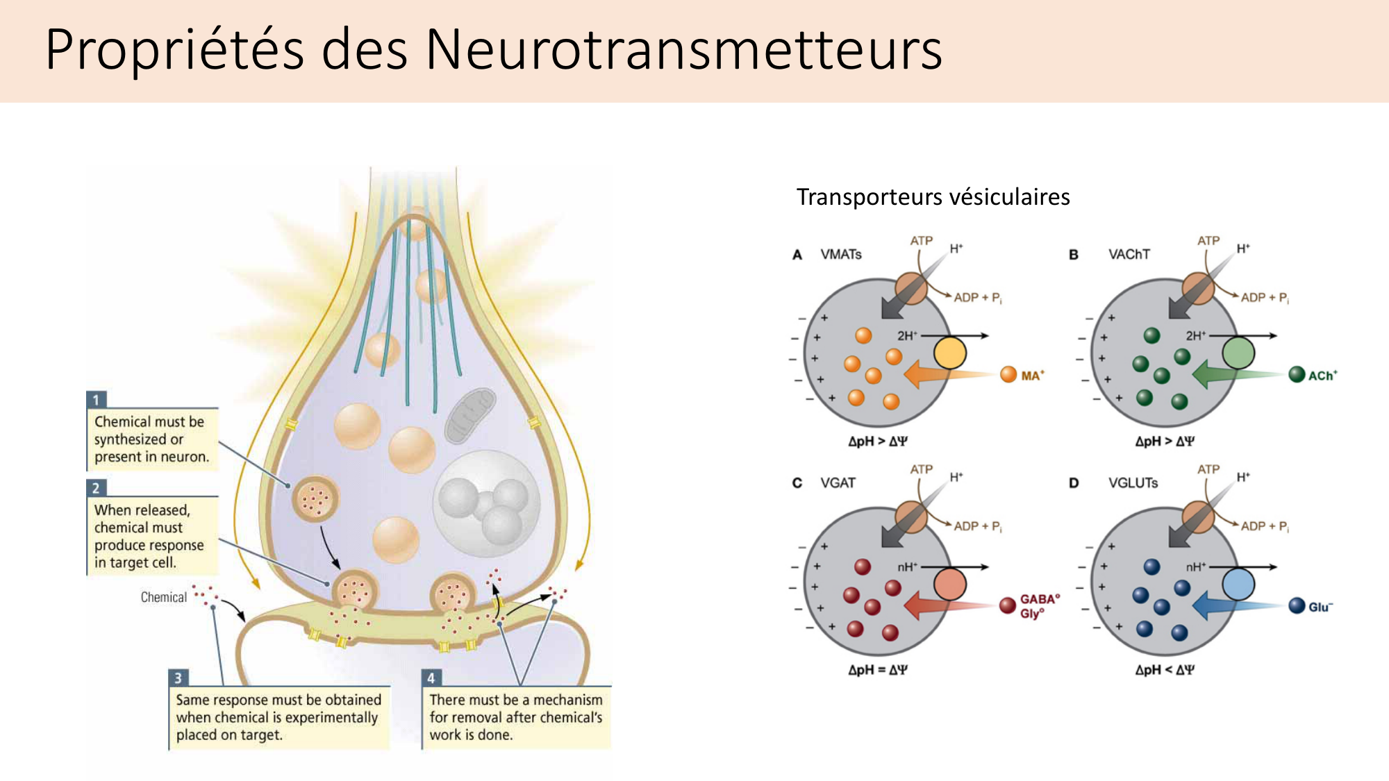 Jabaudon Cours2 17Nov2016 page 7
