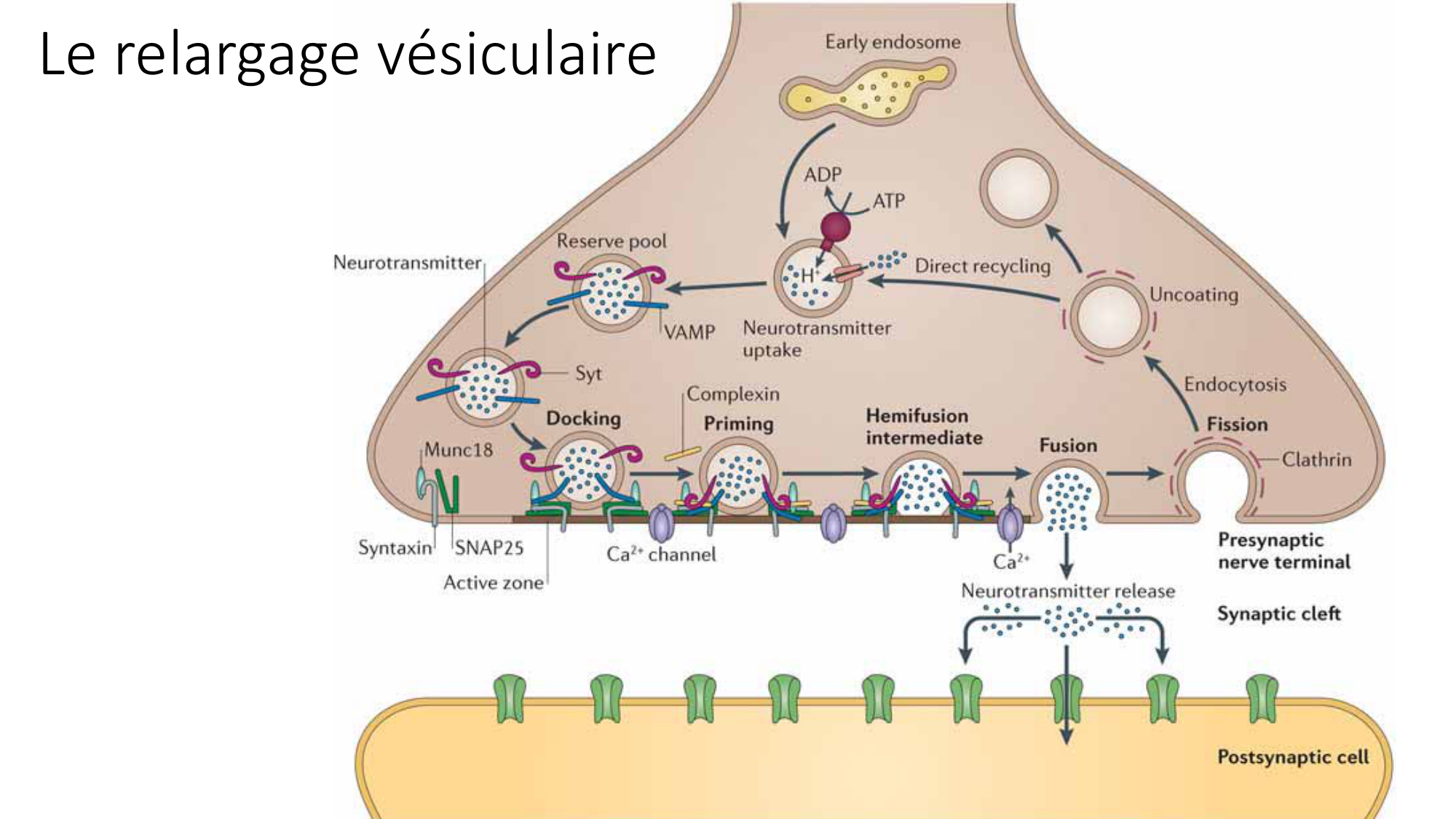 Jabaudon Cours2 17Nov2016 page 8