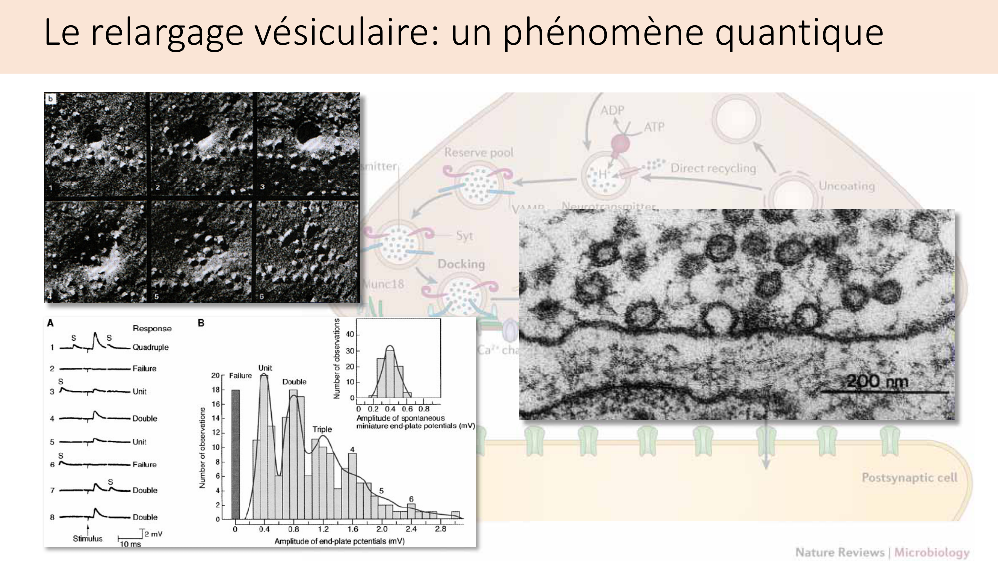 Jabaudon Cours2 17Nov2016 page 9