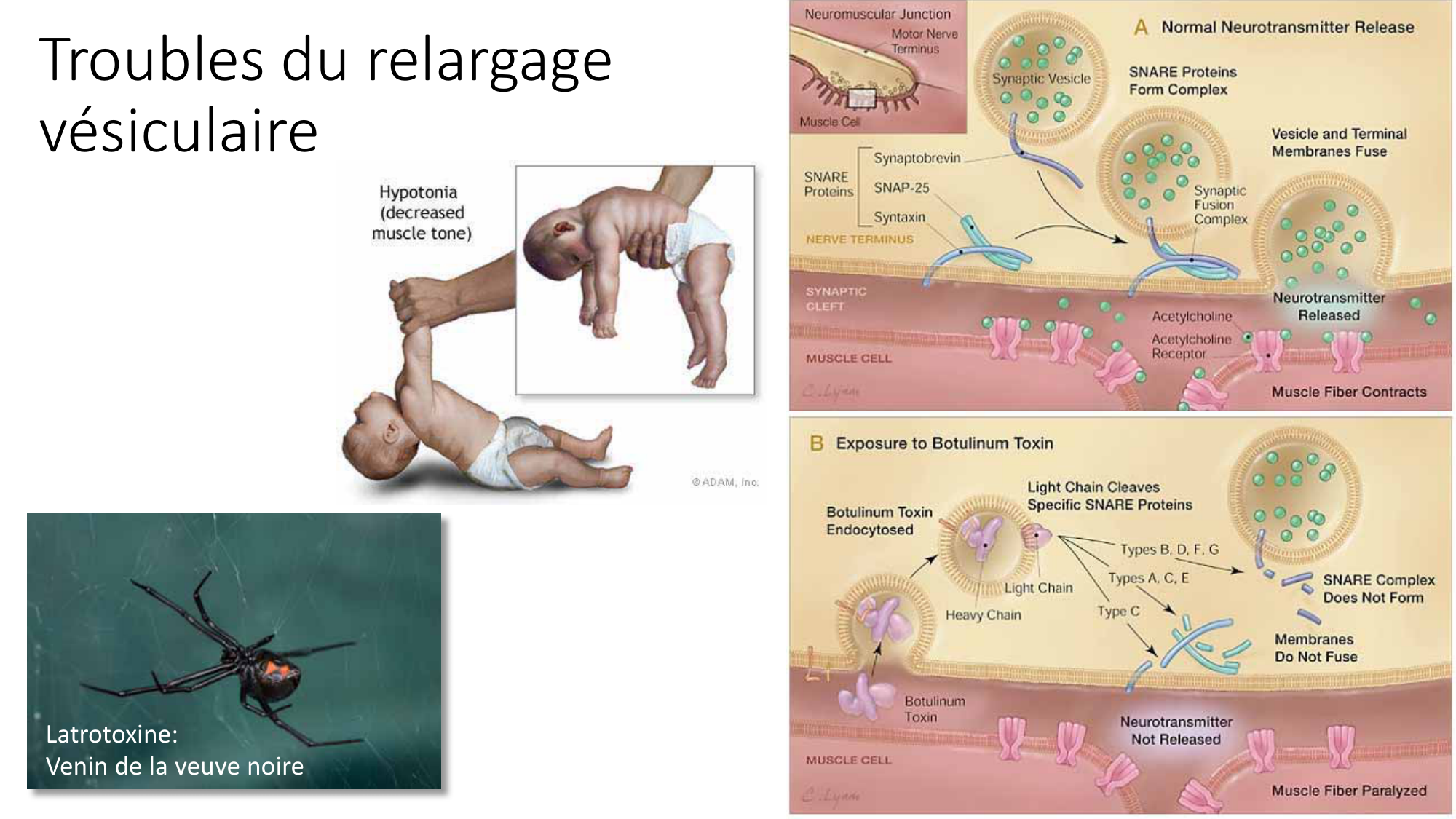 Jabaudon Cours2 17Nov2016 page 10
