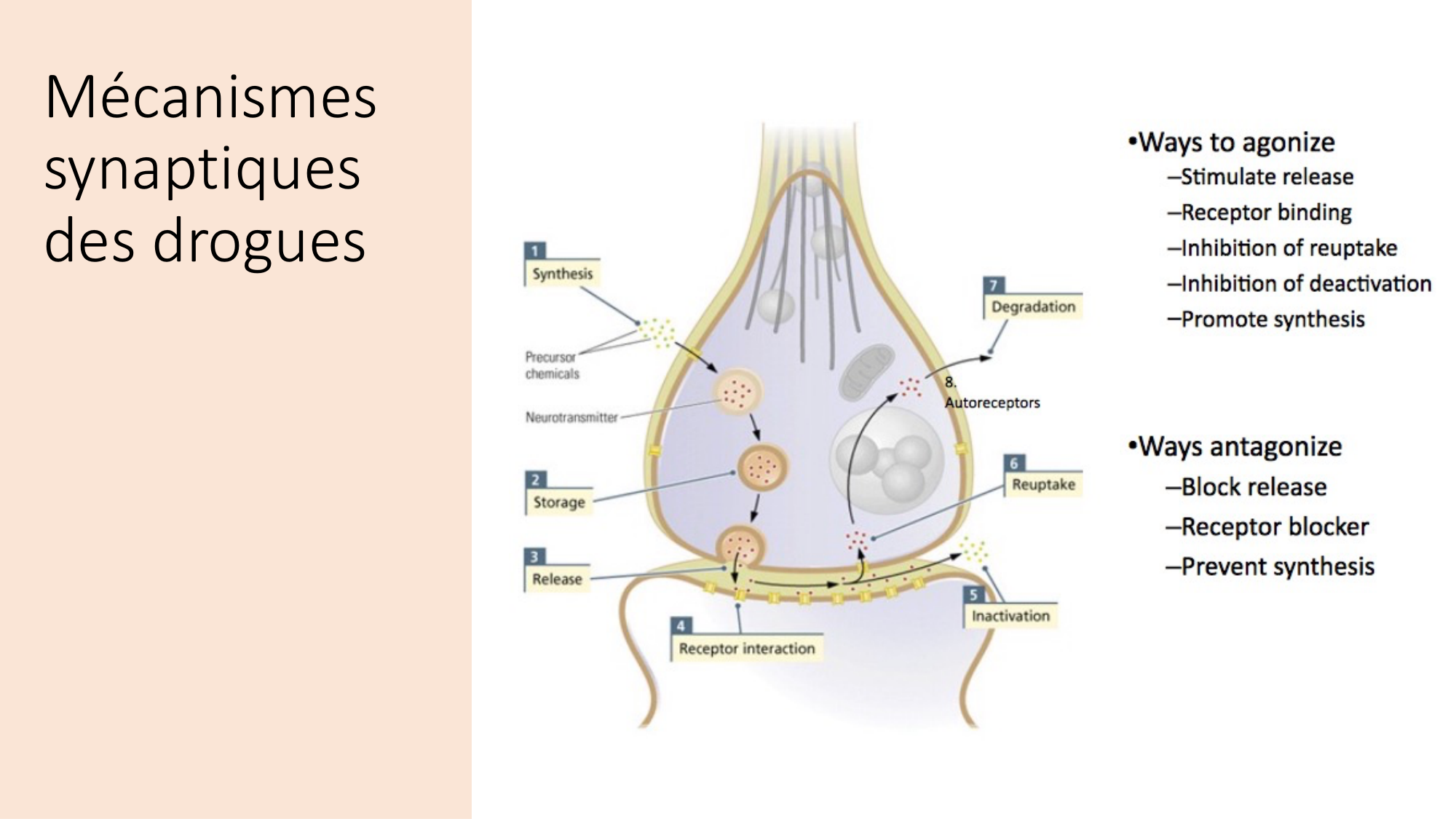 Jabaudon Cours2 17Nov2016 page 12