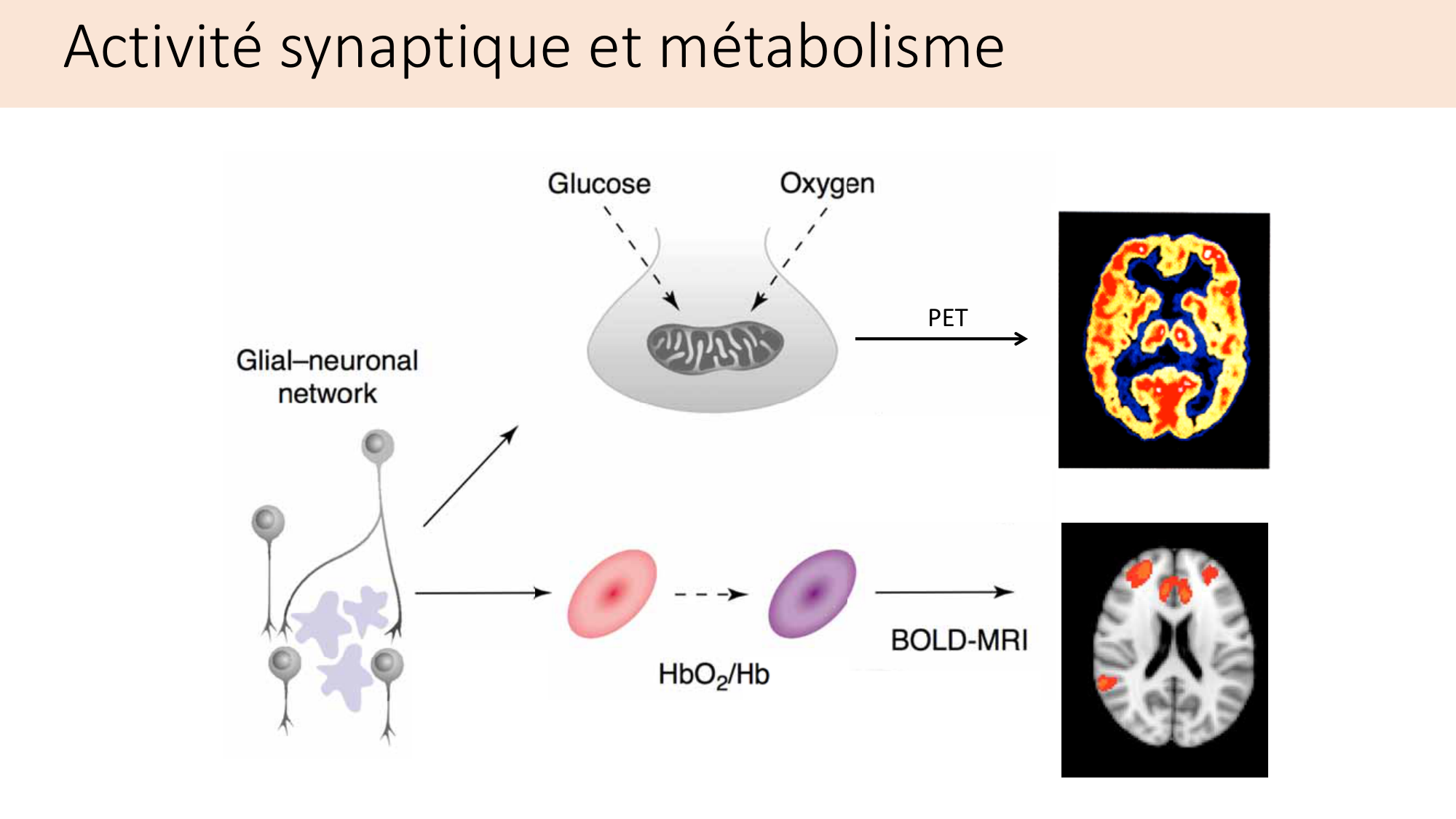 Jabaudon Cours2 17Nov2016 page 13