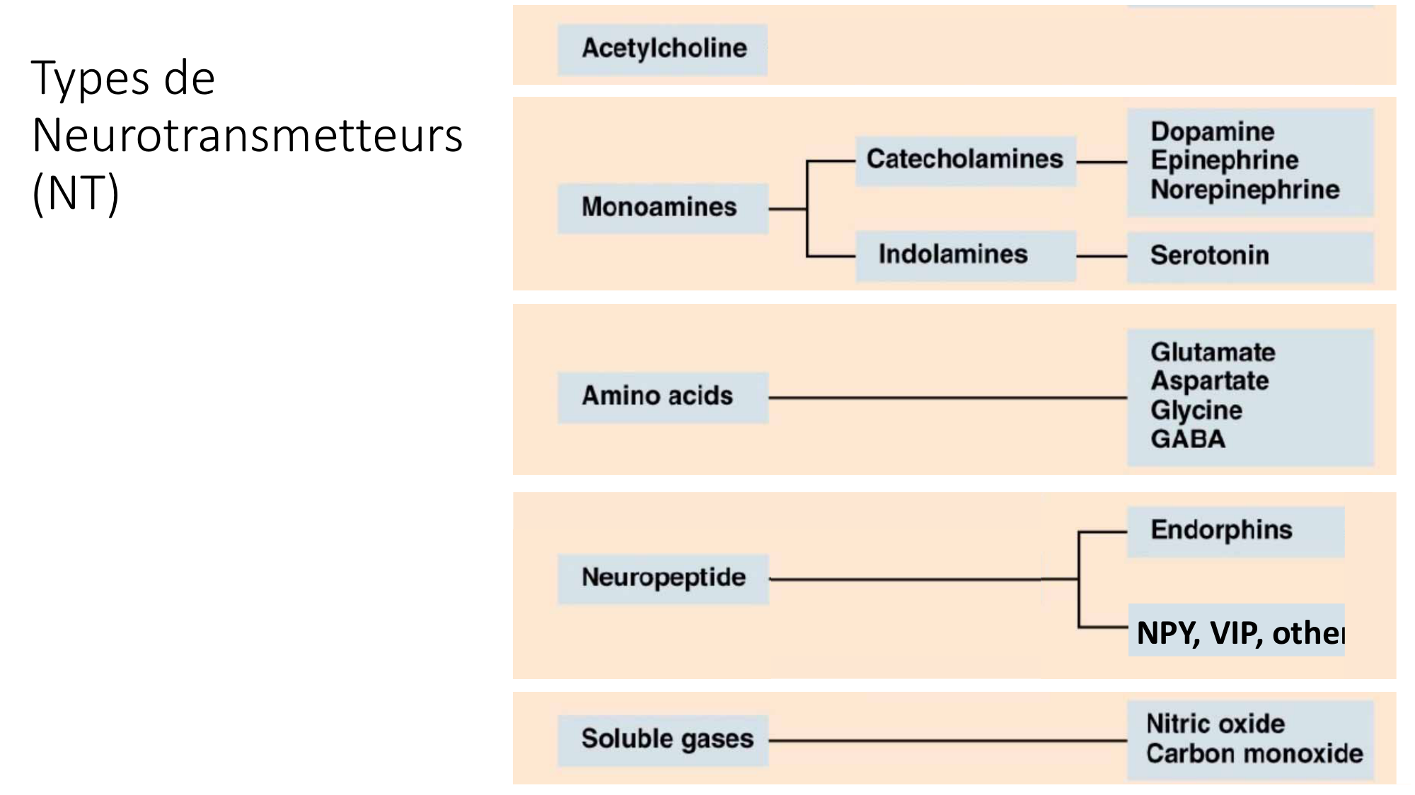 Jabaudon Cours2 17Nov2016 page 14