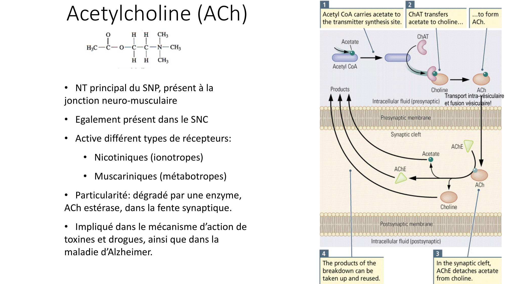 Jabaudon Cours2 17Nov2016 page 15