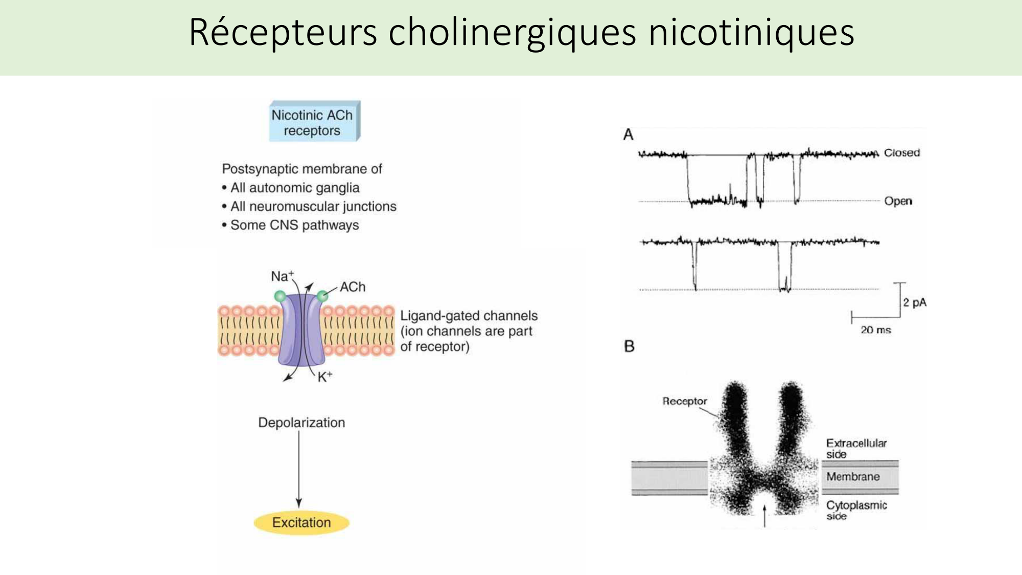 Jabaudon Cours2 17Nov2016 page 16