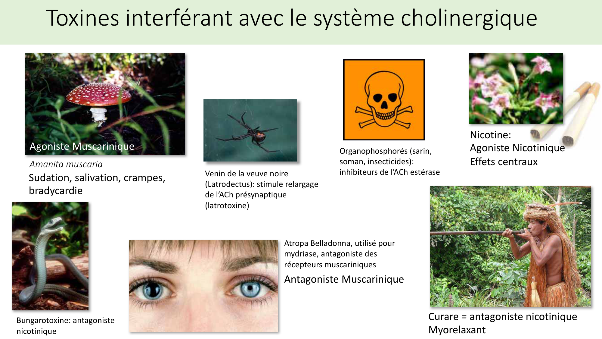 Jabaudon Cours2 17Nov2016 page 22