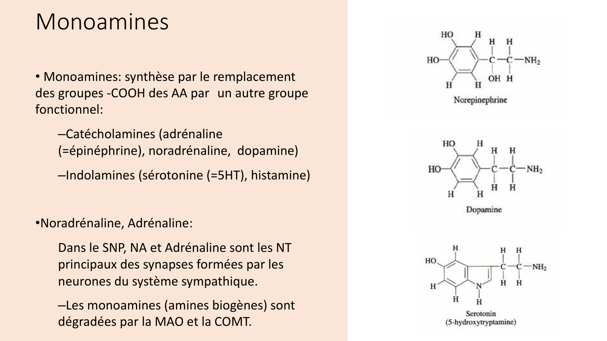 Jabaudon Cours2 17Nov2016 page 25