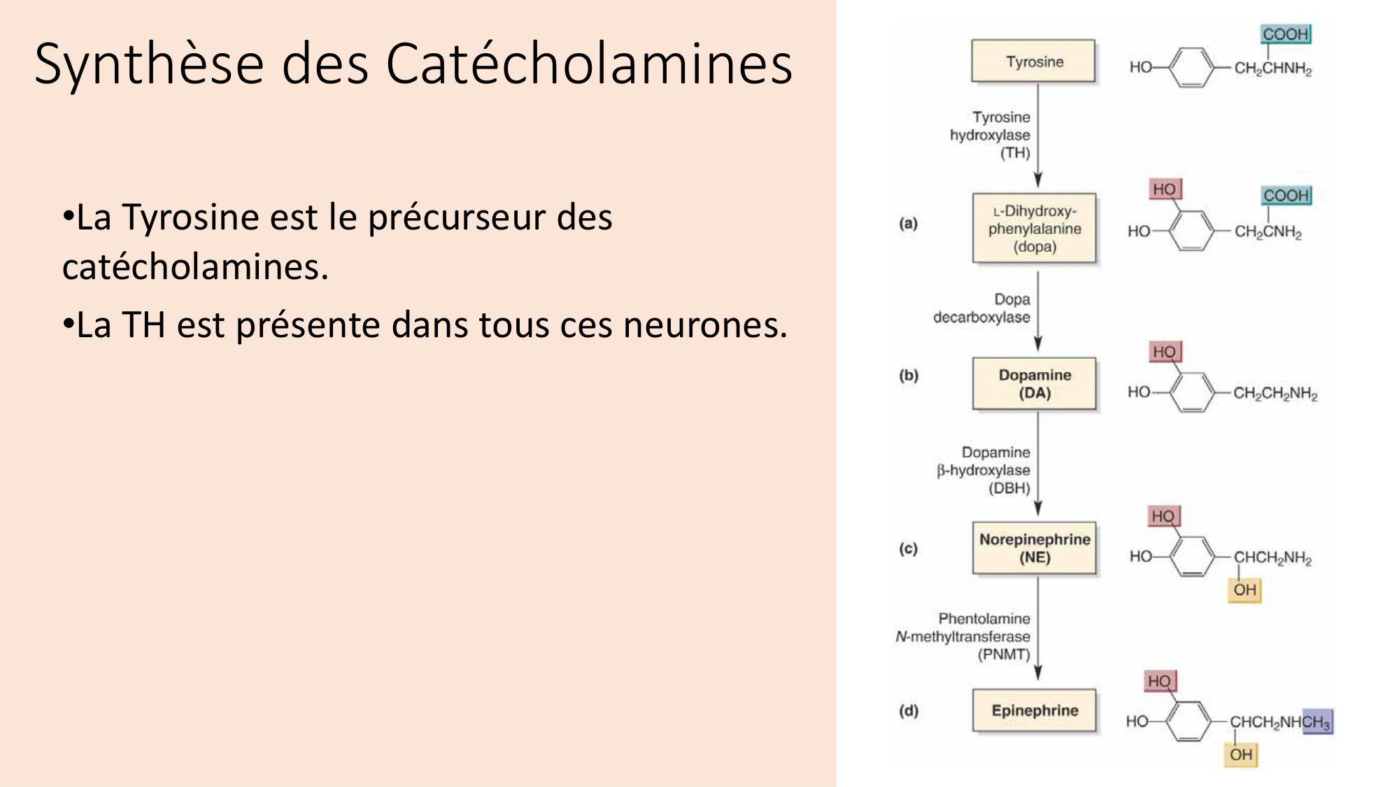 Jabaudon Cours2 17Nov2016 page 26