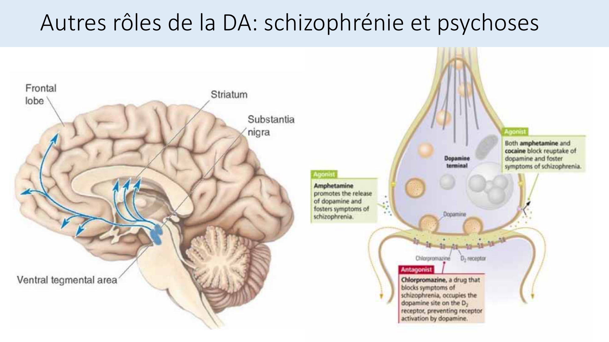 Jabaudon Cours2 17Nov2016 page 30