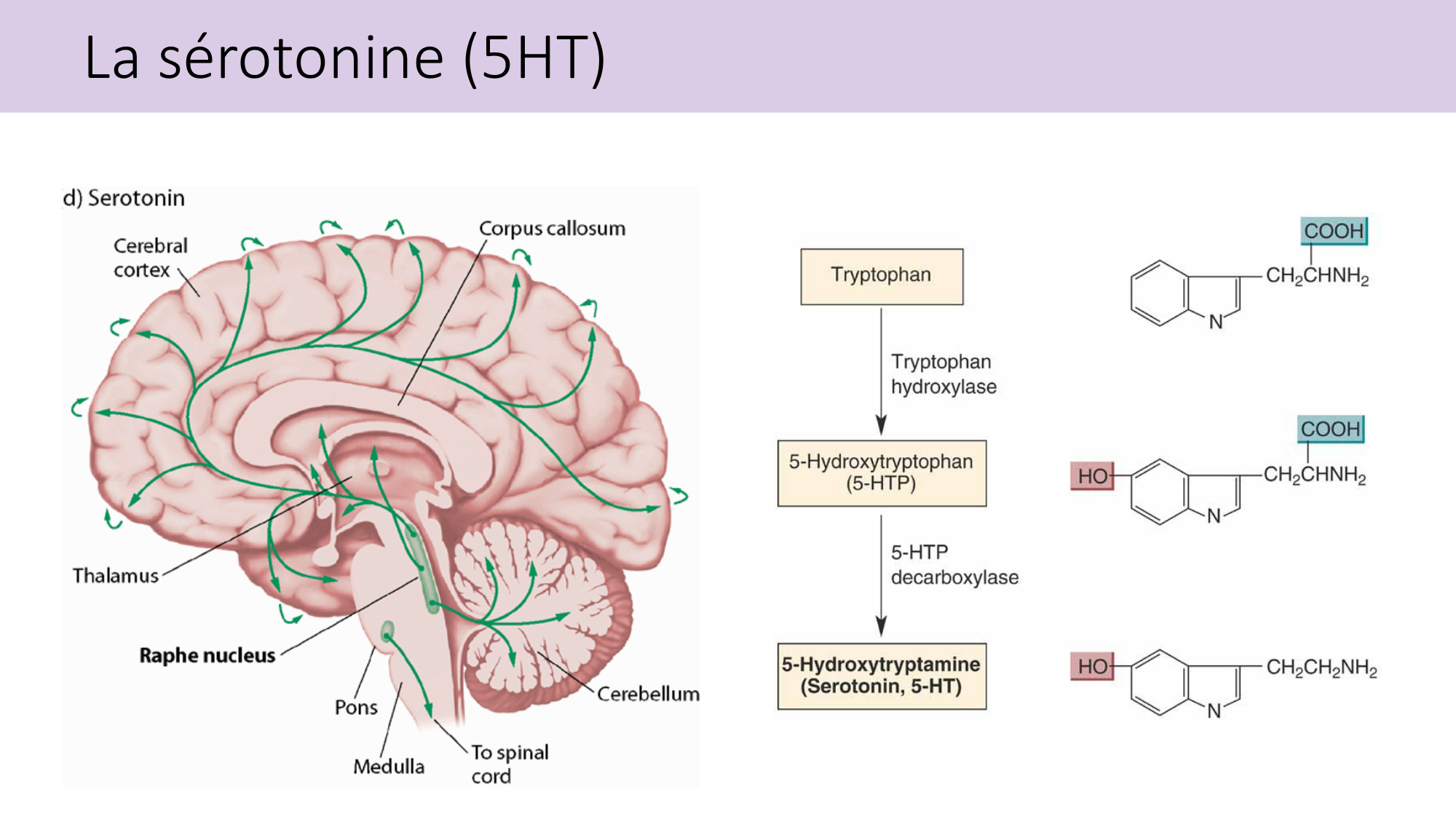 Jabaudon Cours2 17Nov2016 page 31