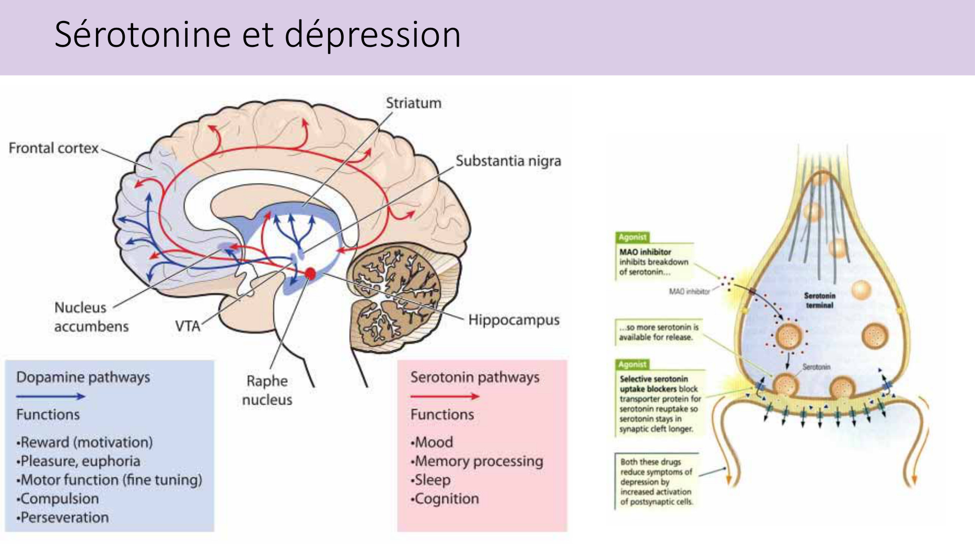 Jabaudon Cours2 17Nov2016 page 32