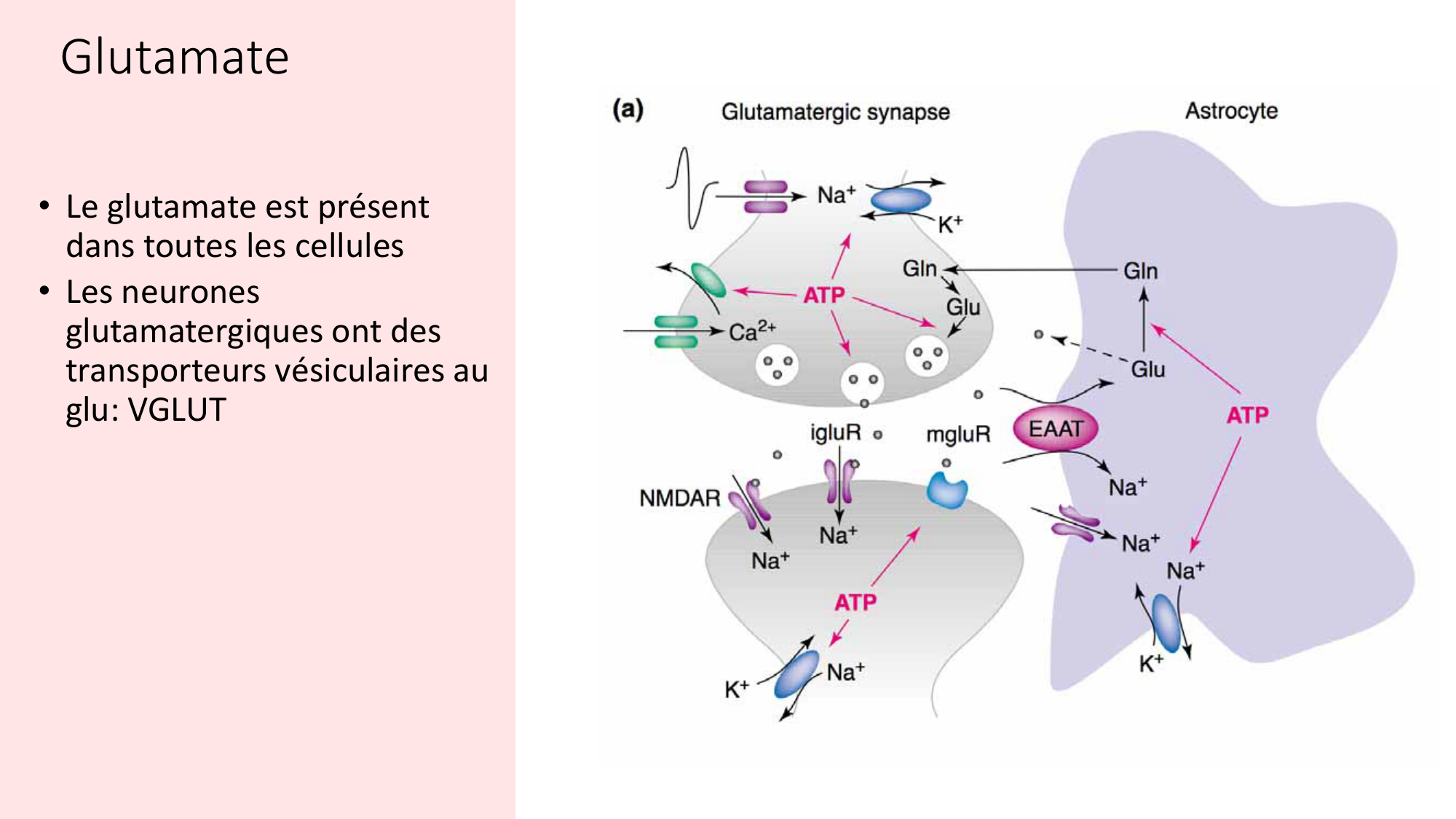 Jabaudon Cours2 17Nov2016 page 33