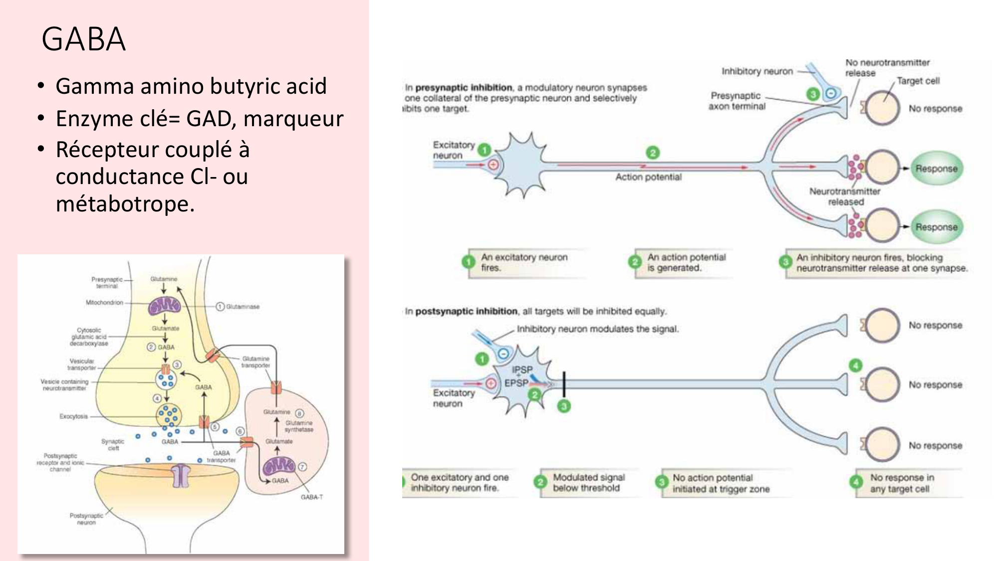 Jabaudon Cours2 17Nov2016 page 34