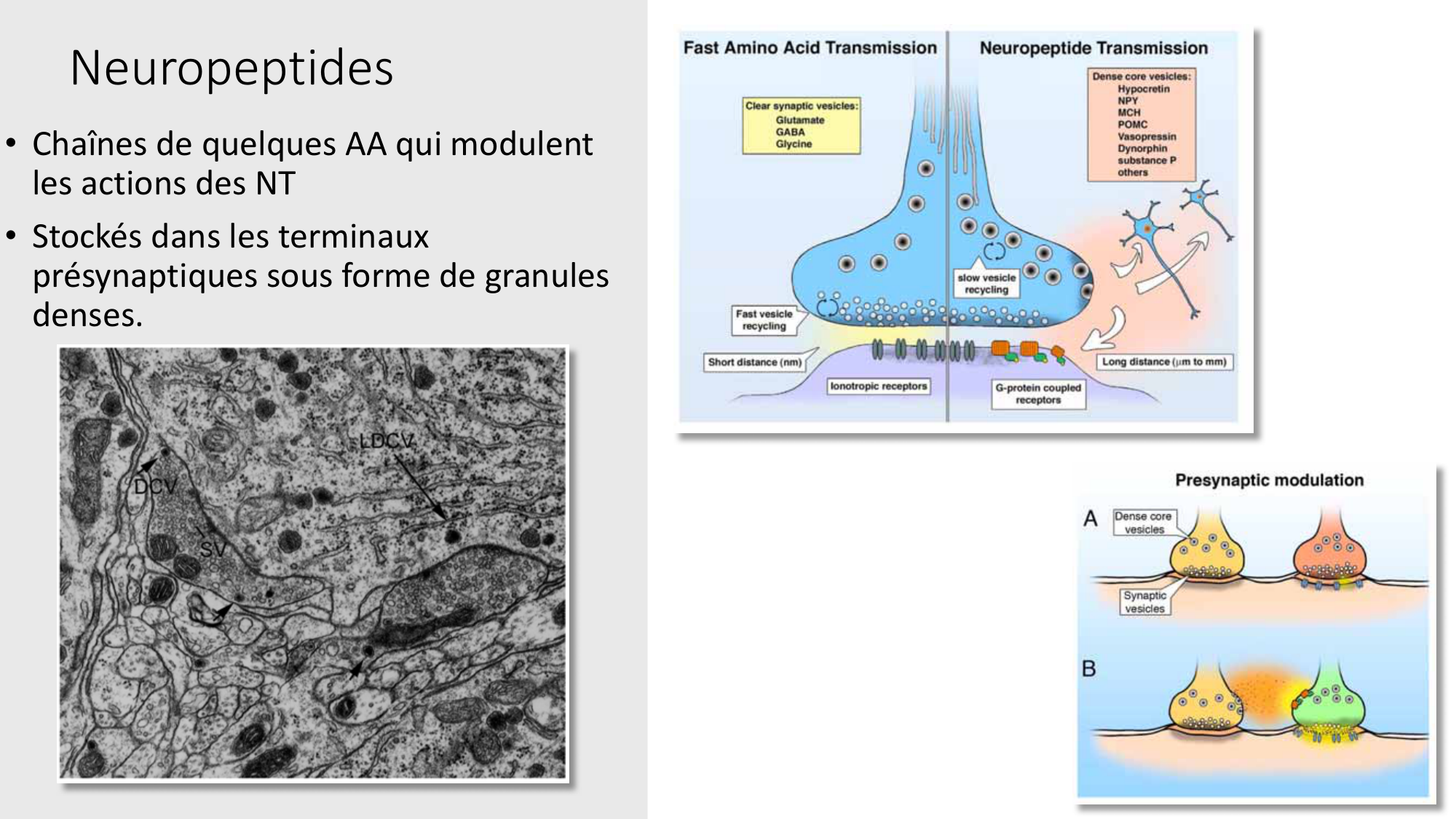 Jabaudon Cours2 17Nov2016 page 36