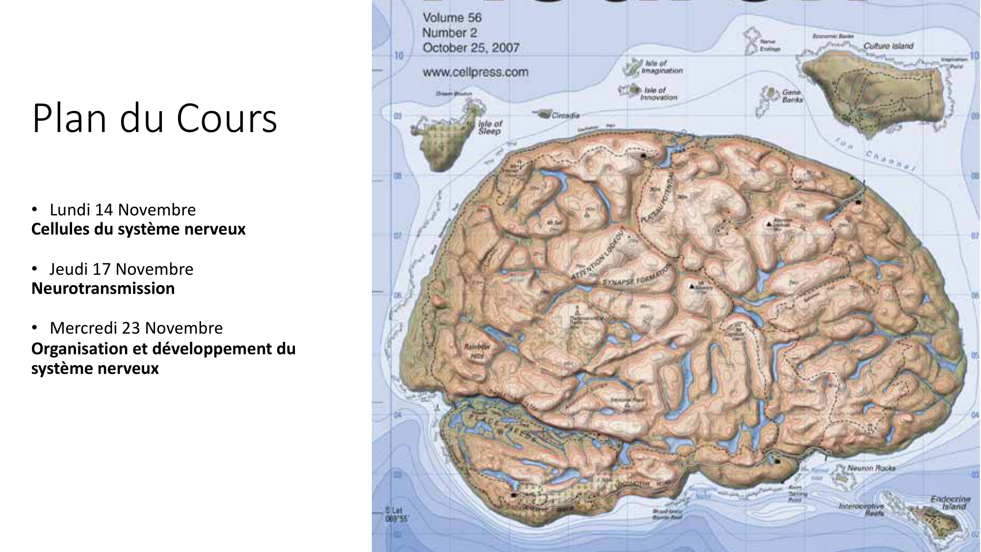 Jabaudon Cours2 17Nov2016 page 37