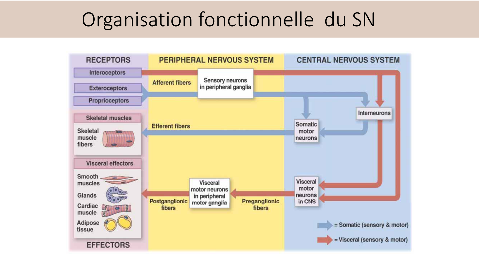 Jabaudon Cours2 17Nov2016 page 42