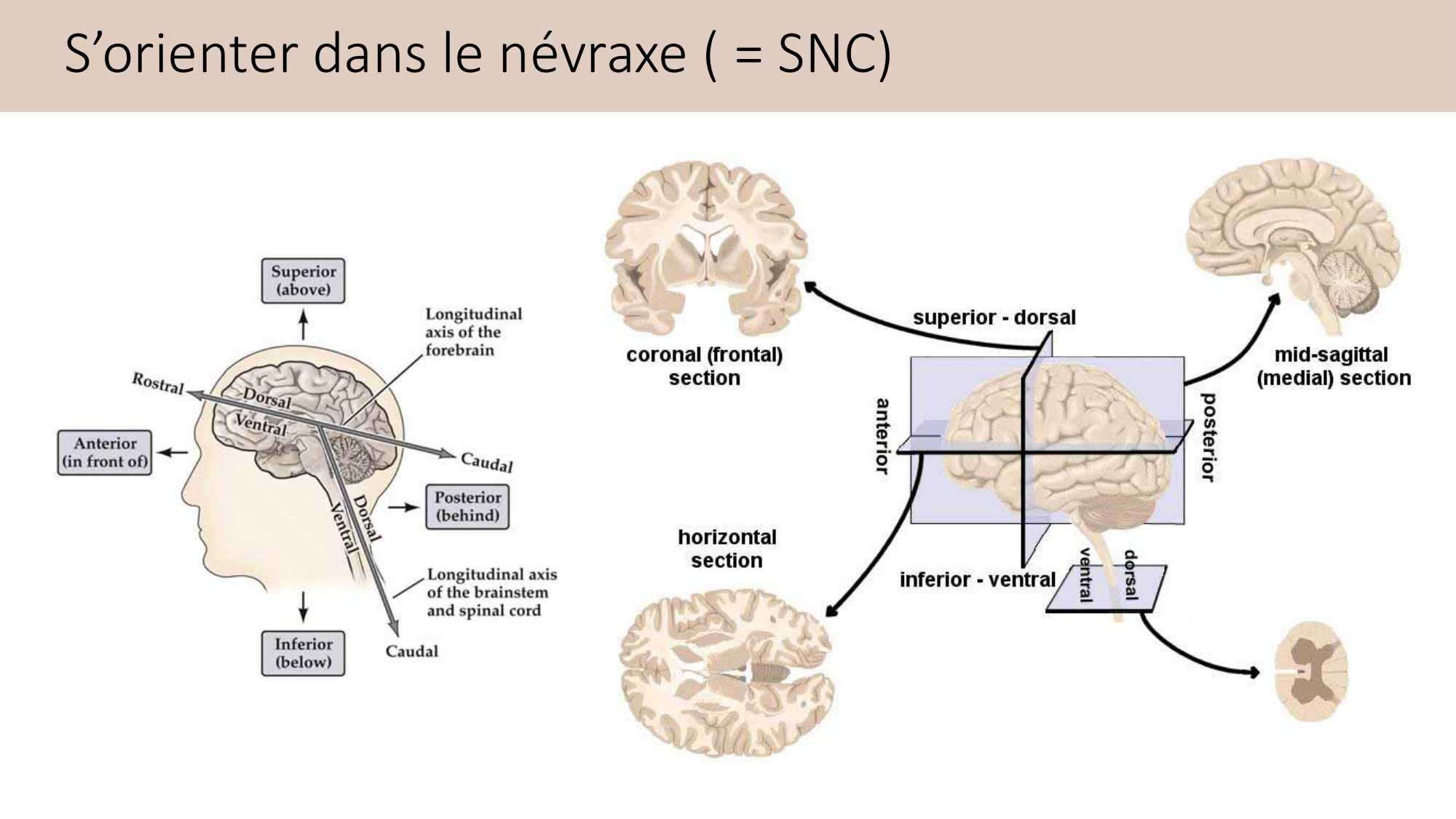 Jabaudon Cours2 17Nov2016 page 45