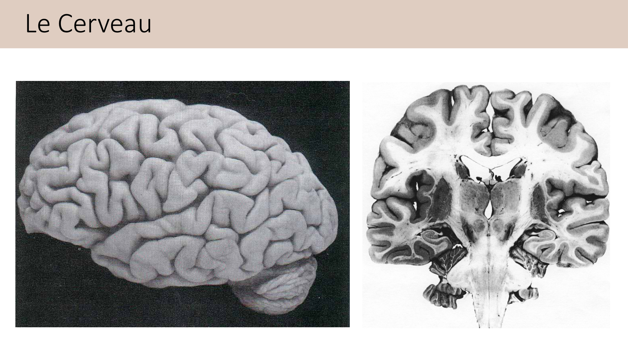 Jabaudon Cours2 17Nov2016 page 47