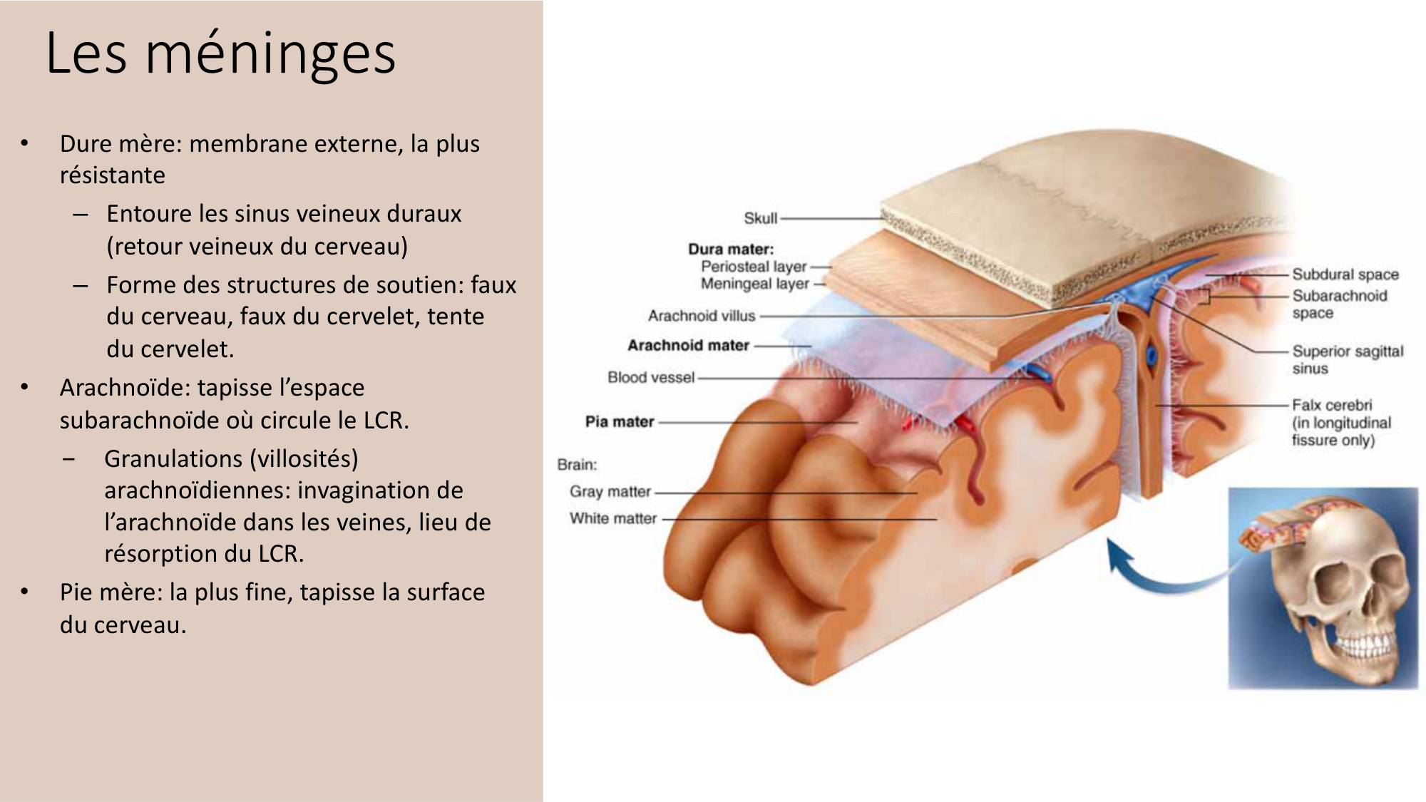 Jabaudon Cours2 17Nov2016 page 58