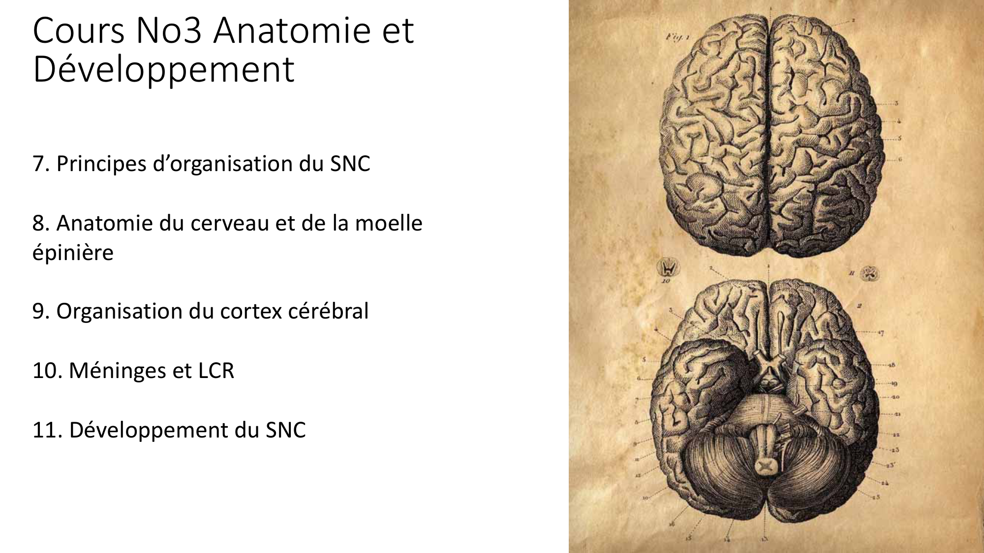 Jabaudon Cours3 23Nov2016 page 2