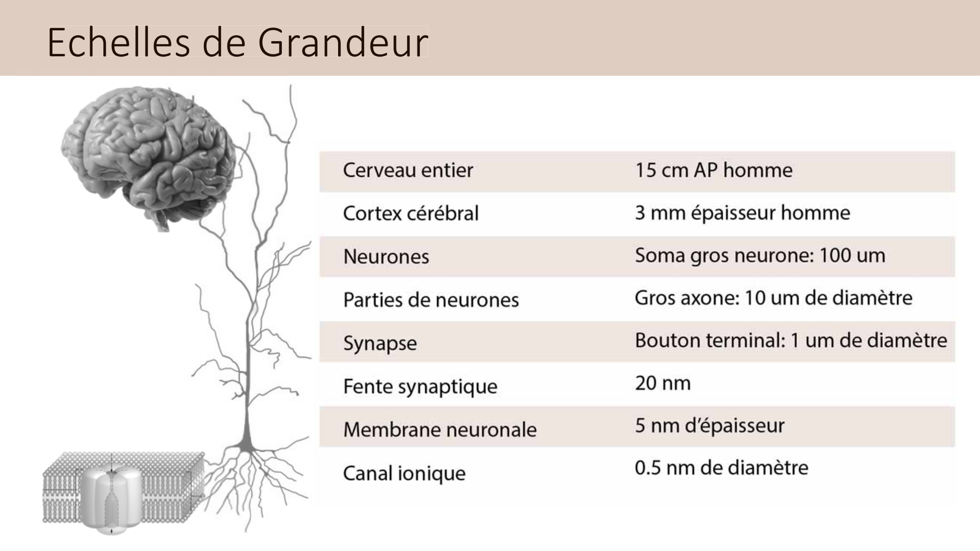 Jabaudon Cours3 23Nov2016 page 3