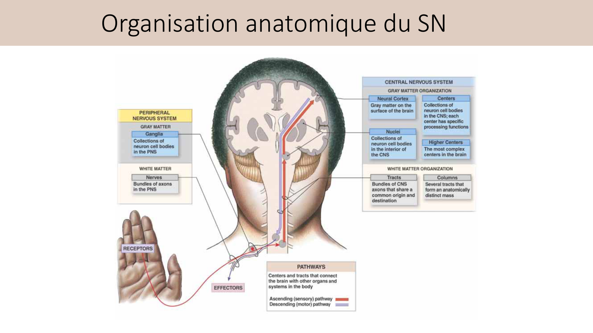Jabaudon Cours3 23Nov2016 page 4