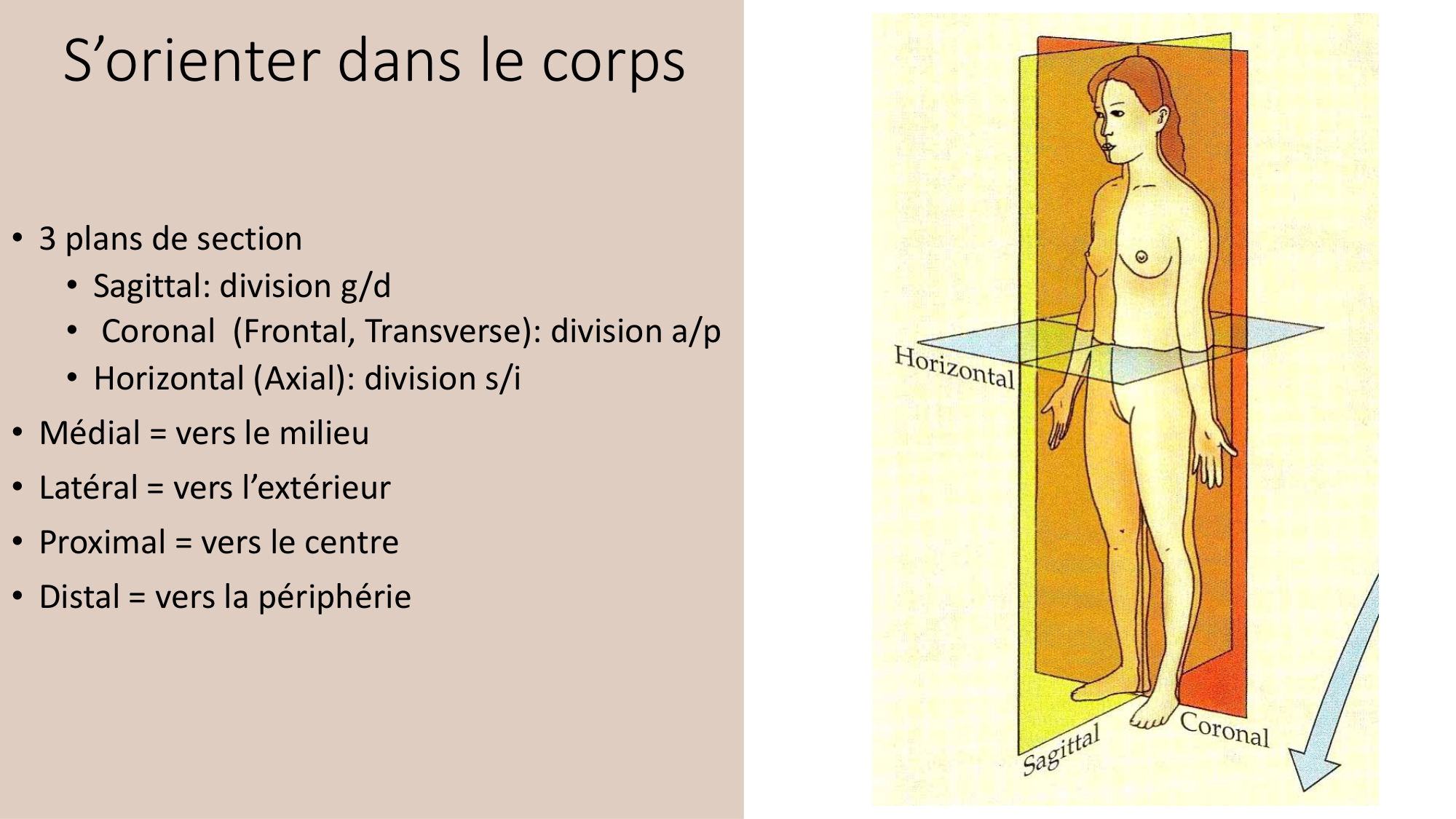 Jabaudon Cours3 23Nov2016 page 7