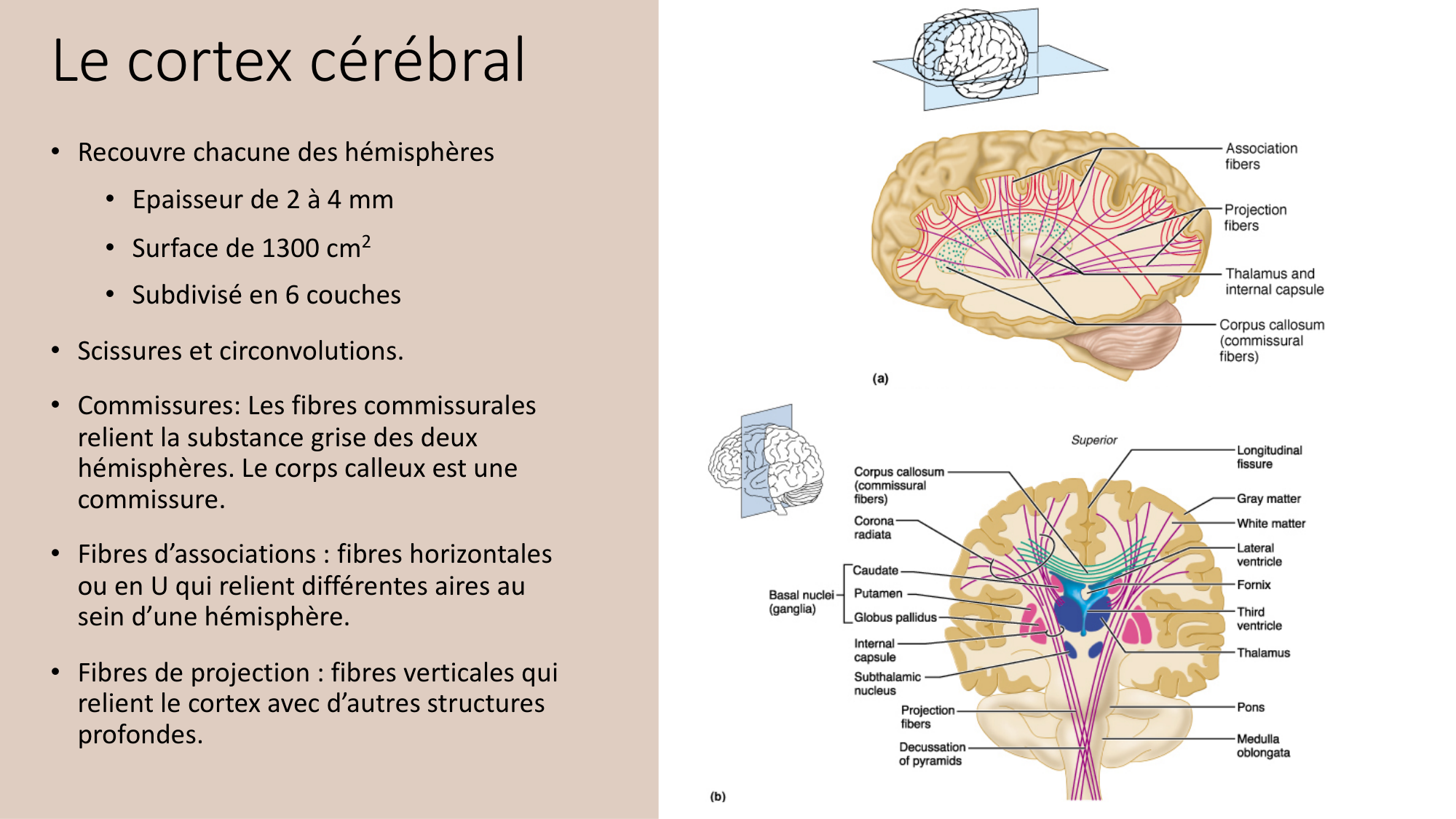 Jabaudon Cours3 23Nov2016 page 15