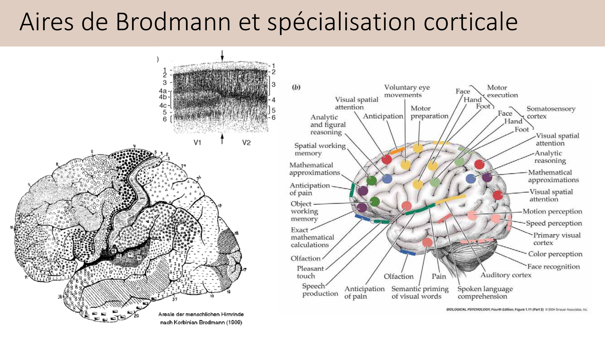 Jabaudon Cours3 23Nov2016 page 16