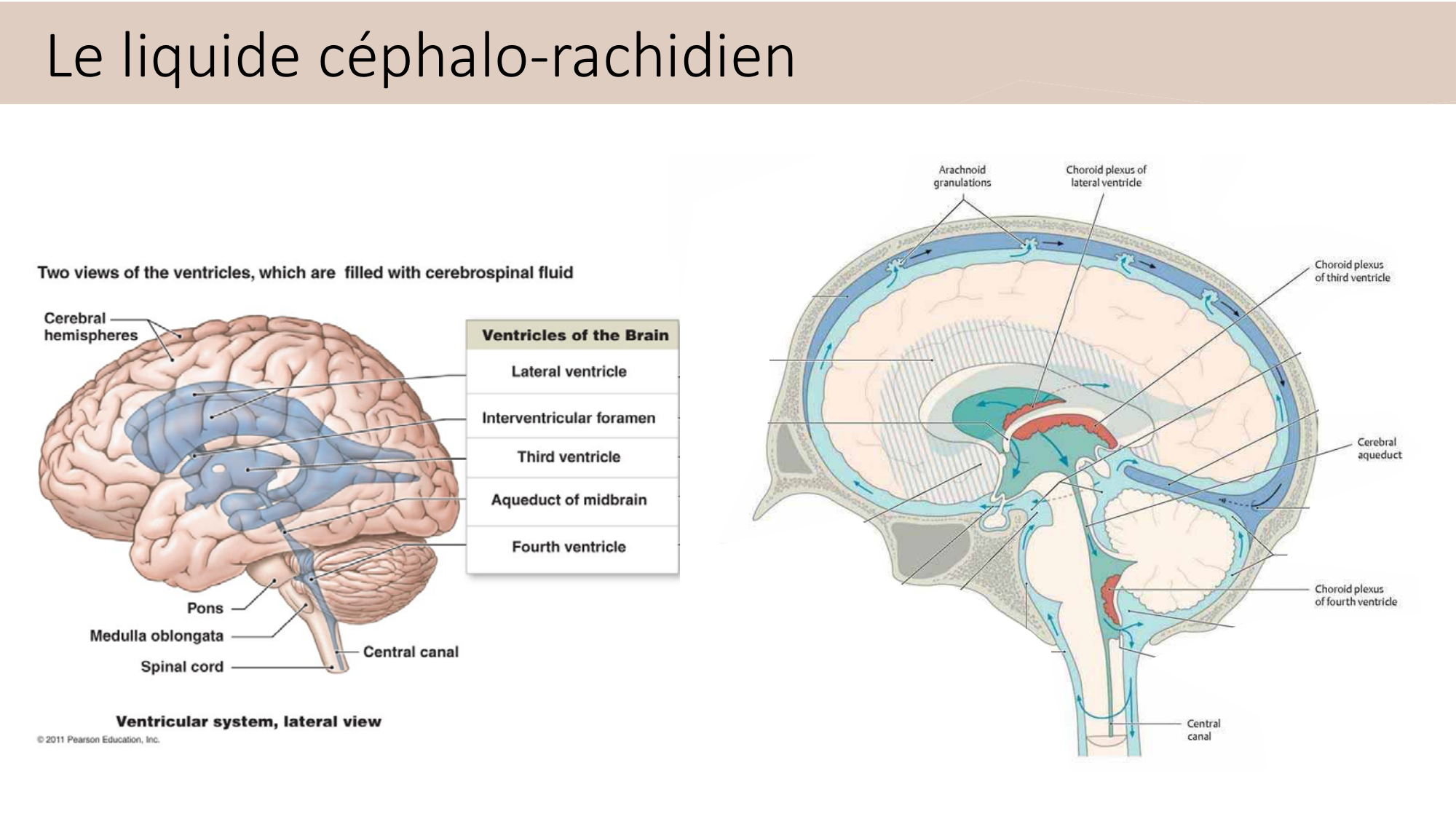Jabaudon Cours3 23Nov2016 page 20