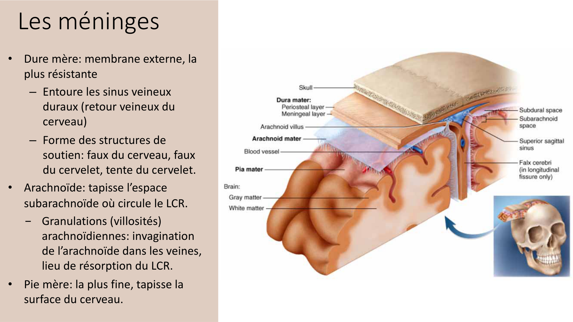 Jabaudon Cours3 23Nov2016 page 21