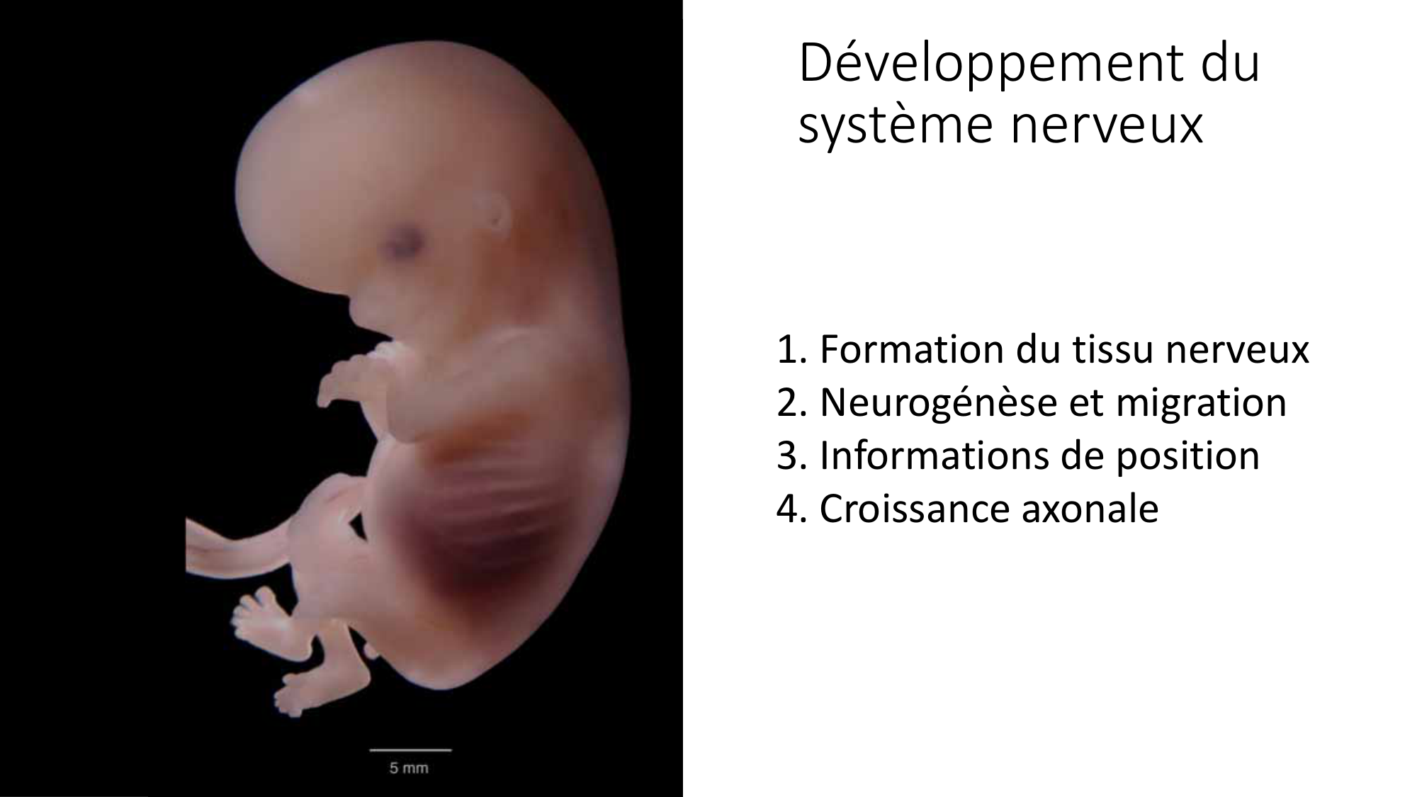Jabaudon Cours3 23Nov2016 page 23