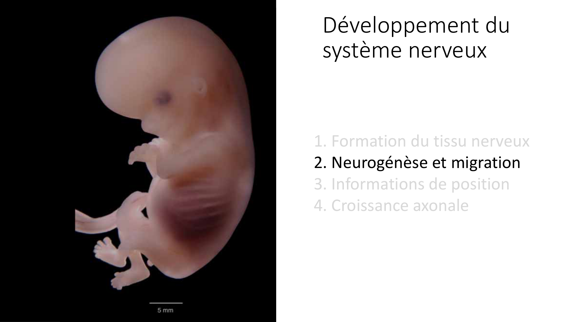 Jabaudon Cours3 23Nov2016 page 28