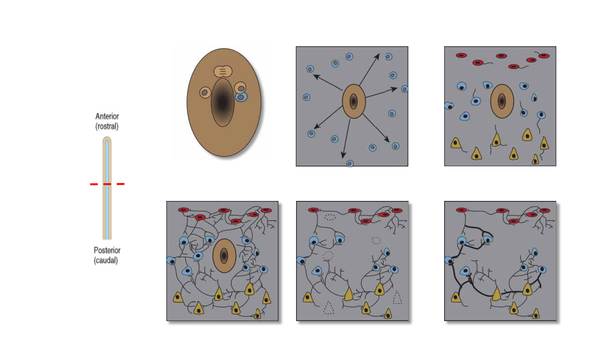 Jabaudon Cours3 23Nov2016 page 29